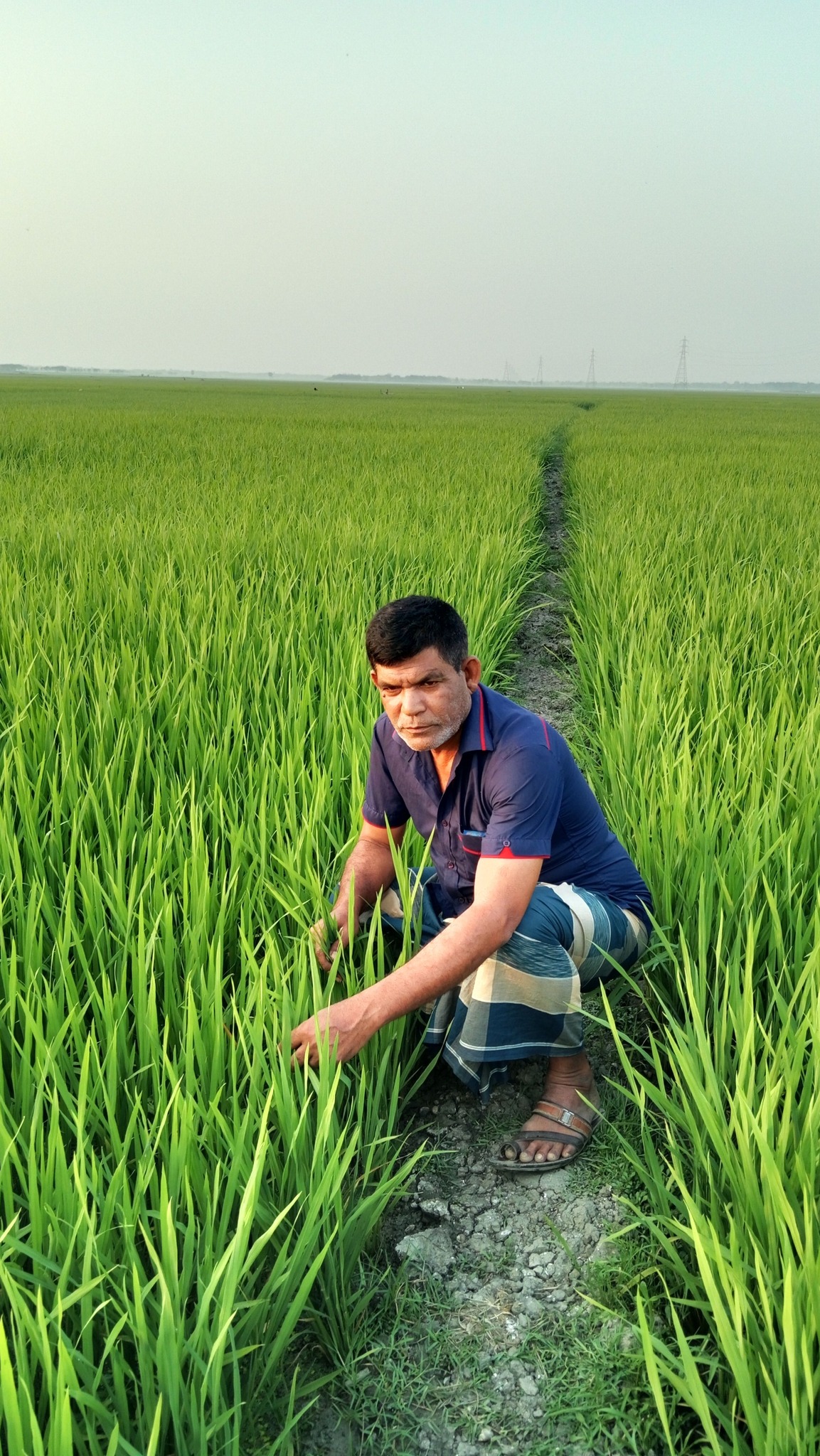Biddut Biswas