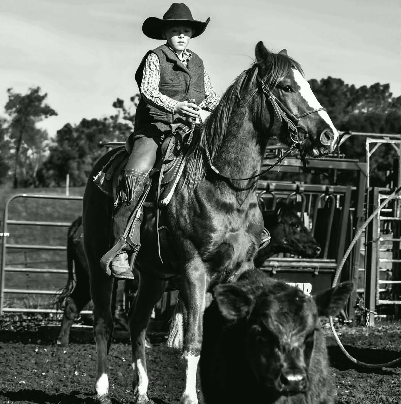 Diamond Bar W Ranch | Glencoe CA