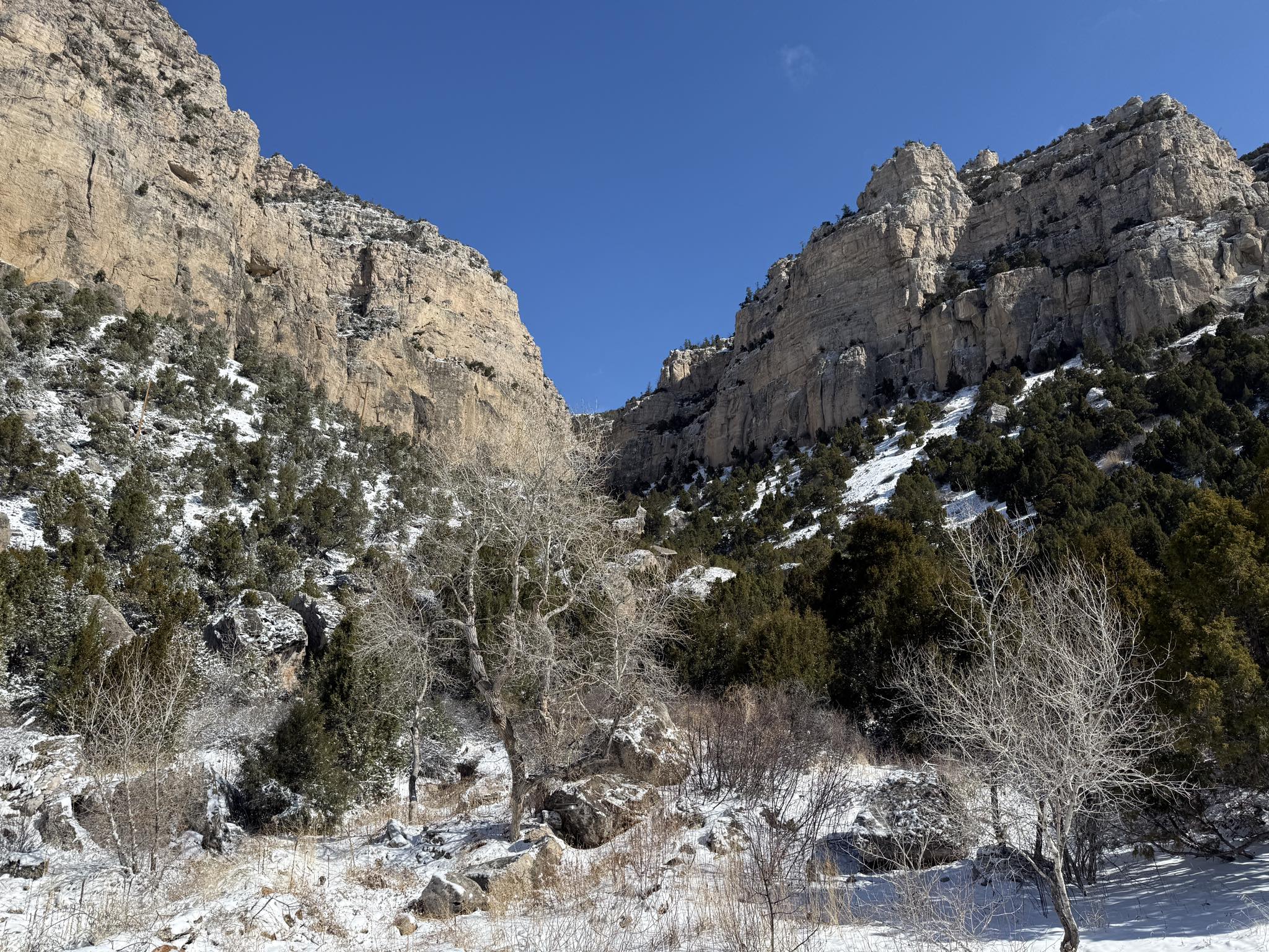Golden Rule Ranch | Thermopolis WY