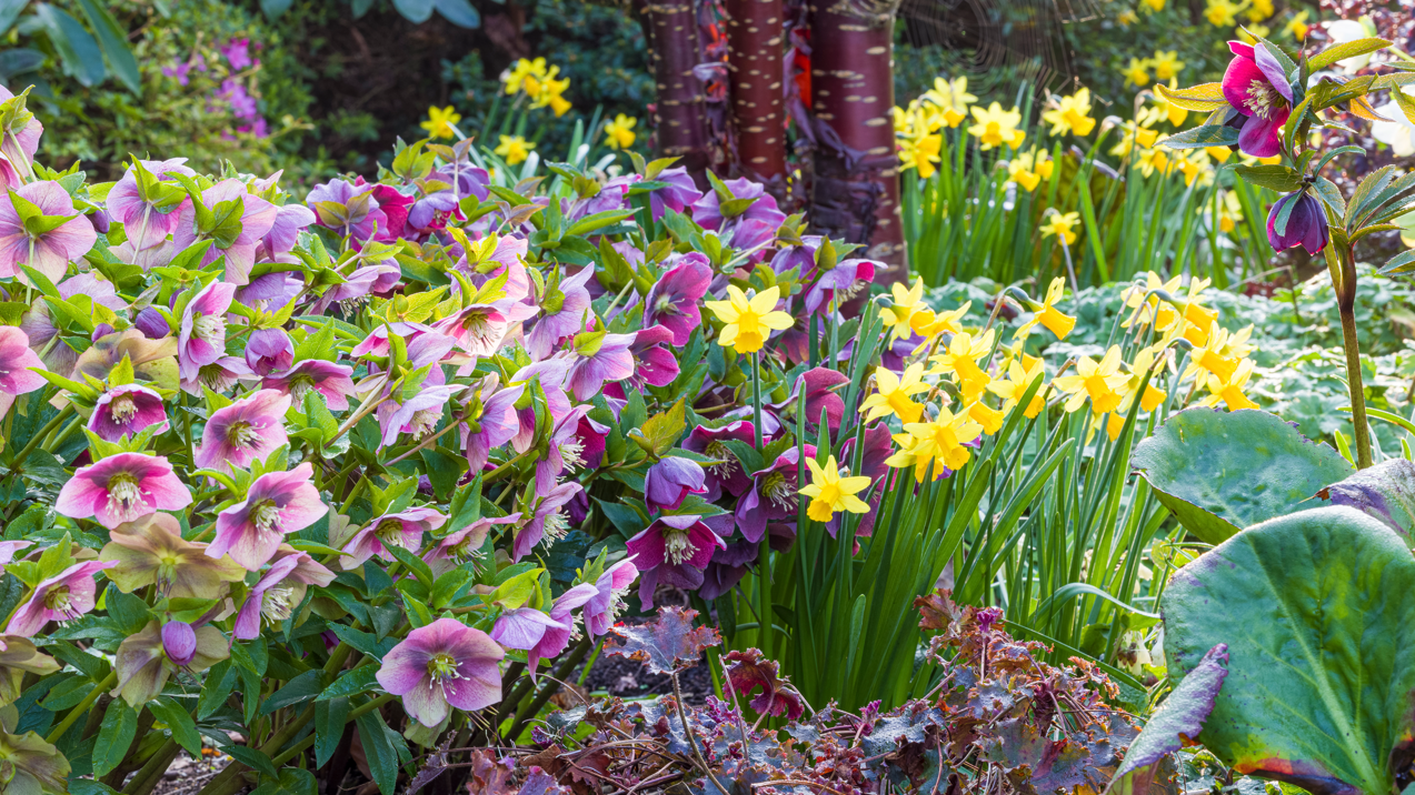 Bingham Garden Club