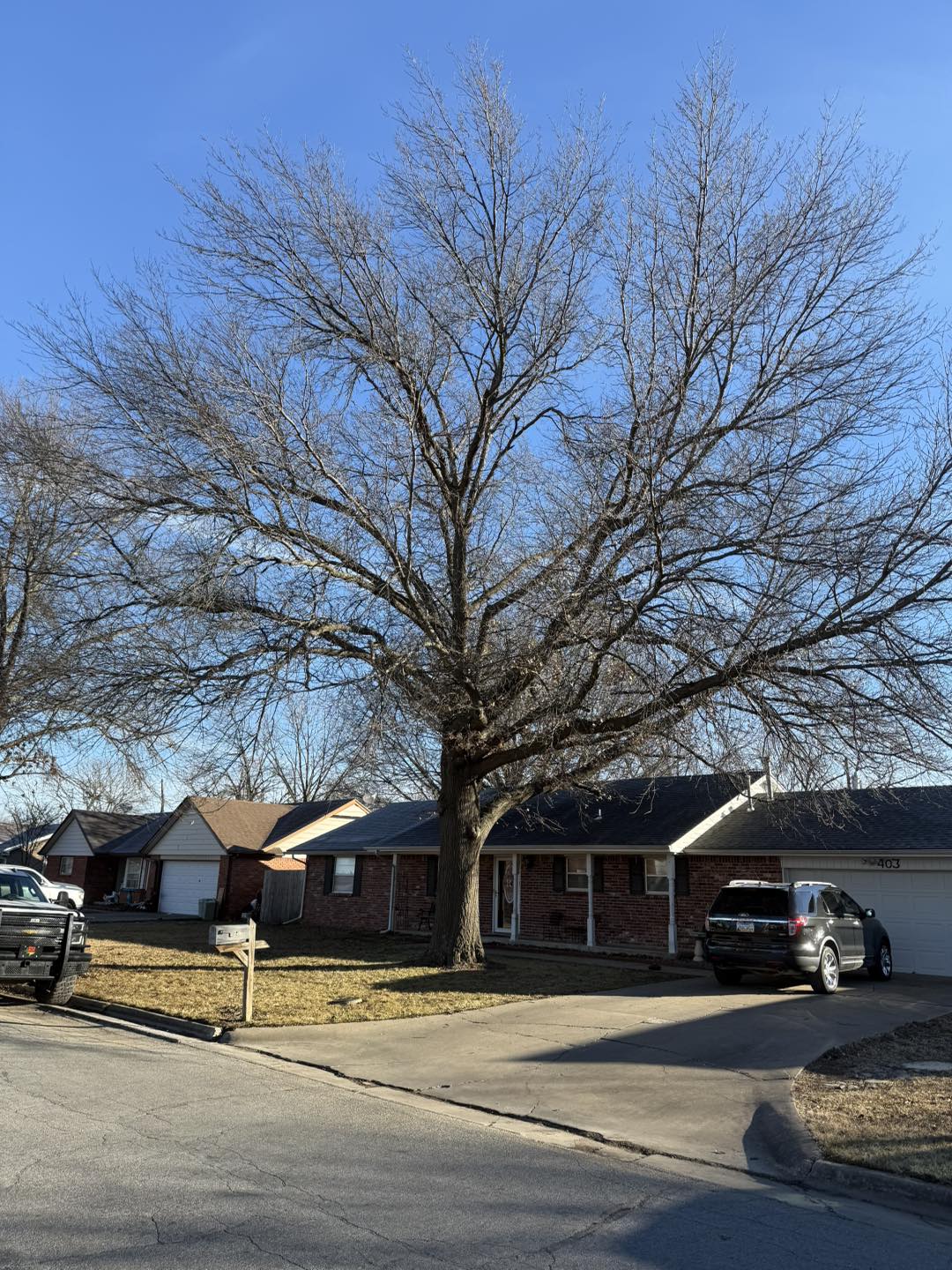 High & Low Tree Services, LLC | Coffeyville KS