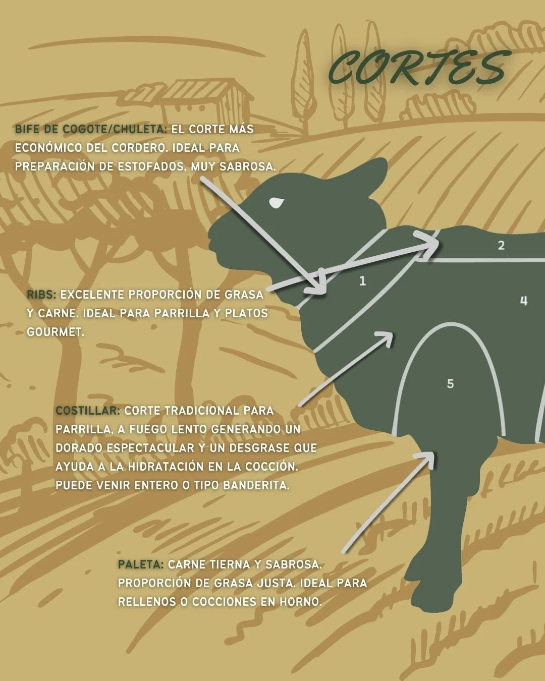 Lamby - 🔥 Descubrí los sabores más intensos del cordero En este post te ...
