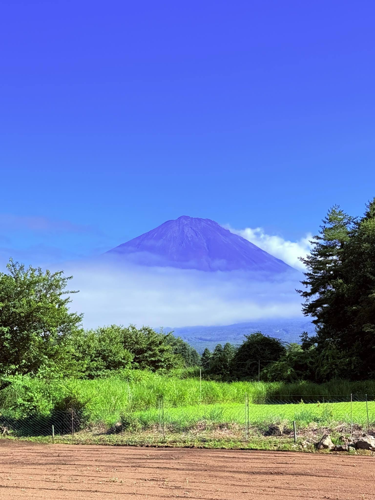 Akira Masuyama - Akira Masuyama added a new photo.