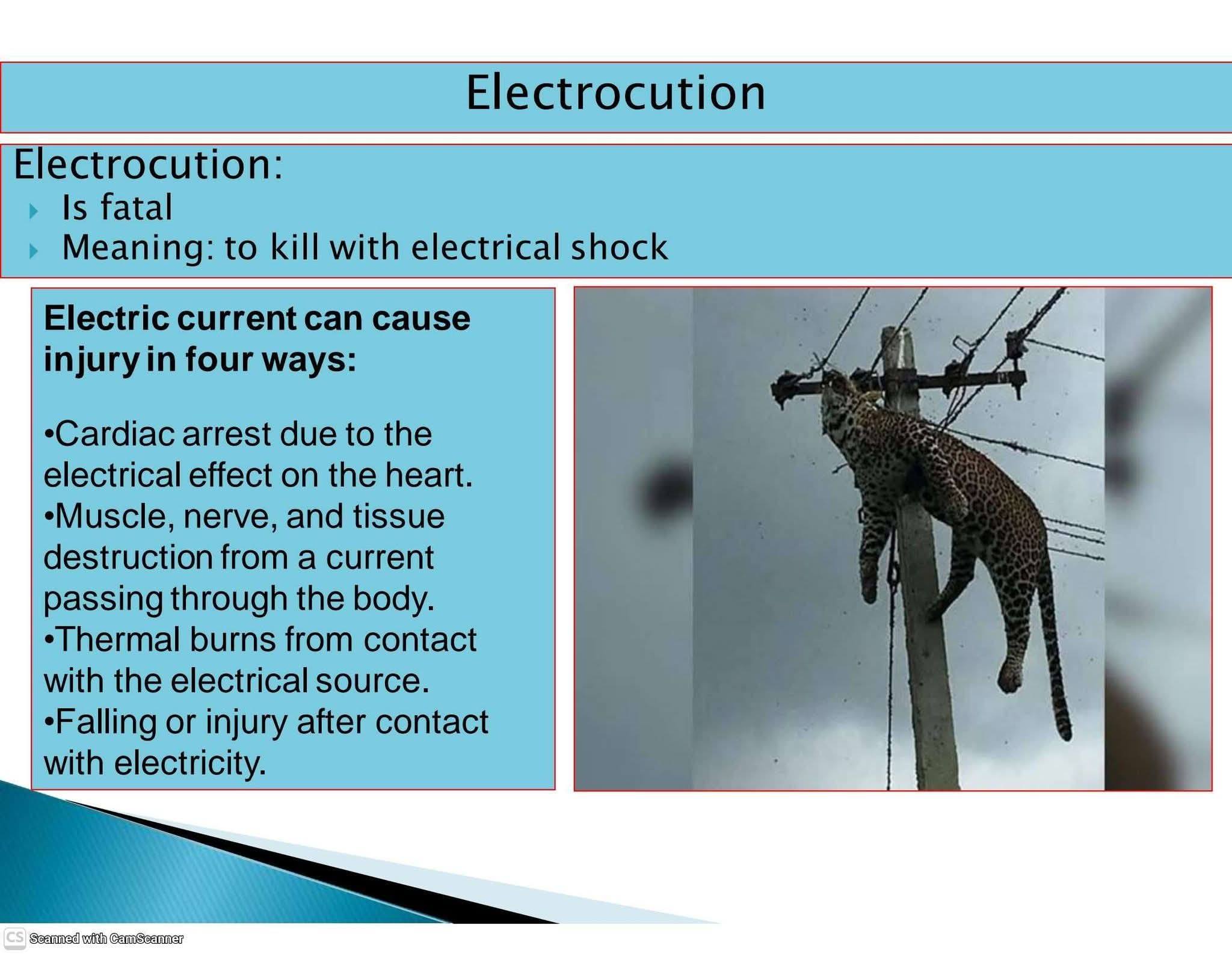 🚨Understanding Lost Time Injury (LTI)... - HSE Engineers Hub | Facebook