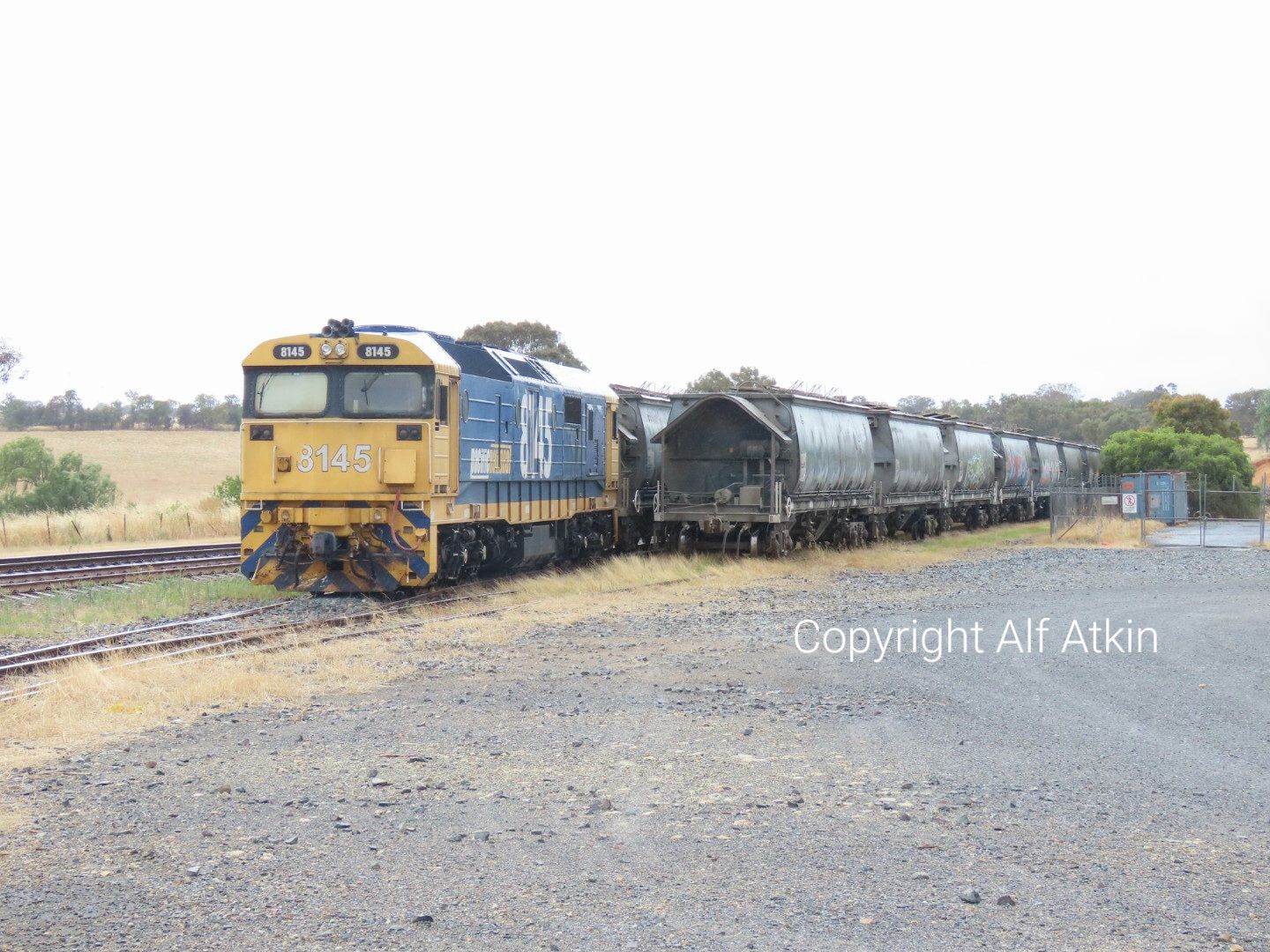 NSW Railways - Past and Present | 8145 sits shut down at the head of a ...