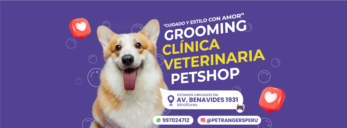Pet Rangers | Miraflores, Lima