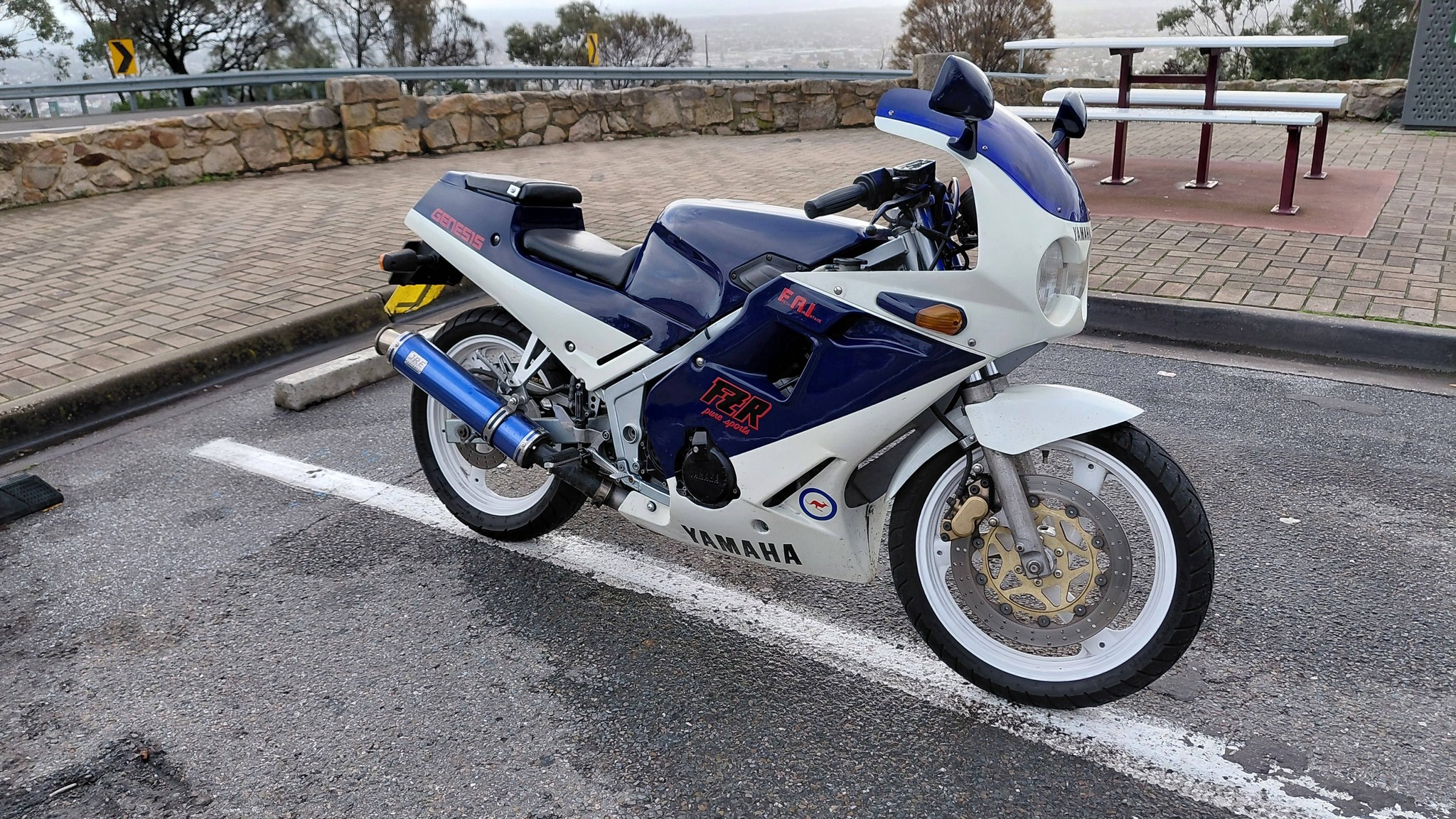 YAMAHA FZR250 GROUP | Facebook