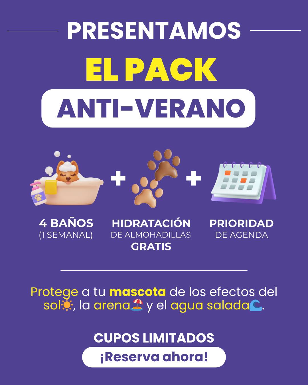 Pet Rangers | Miraflores, Lima