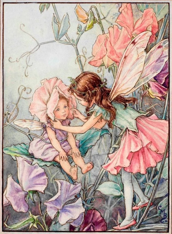 Cicely Mary Barker's flower fairies: candy tuft, heliotrope, sweet