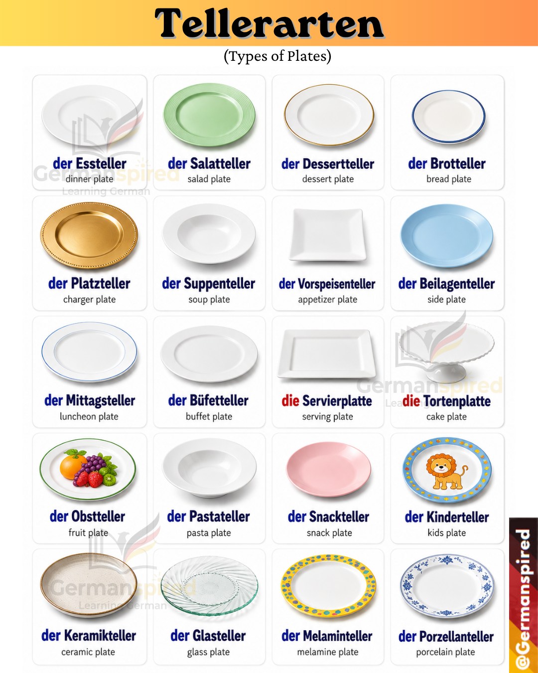 Tellerarten (Types of Plates) 📘 Short Explanation Most German plate words end with -teller, so the article is usually der. Very important: der Teller = plate die Platte = large serving plate / platt