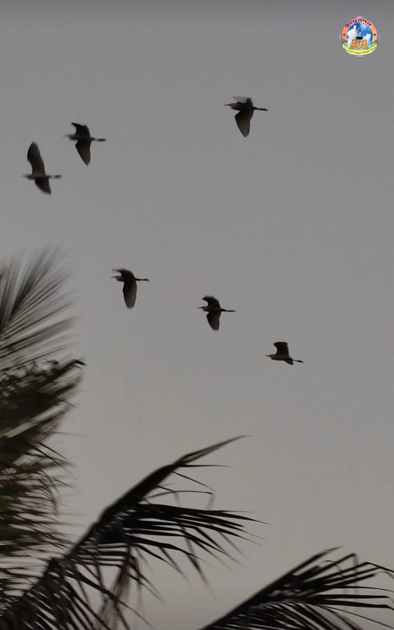 Anuranan | Gujarpur