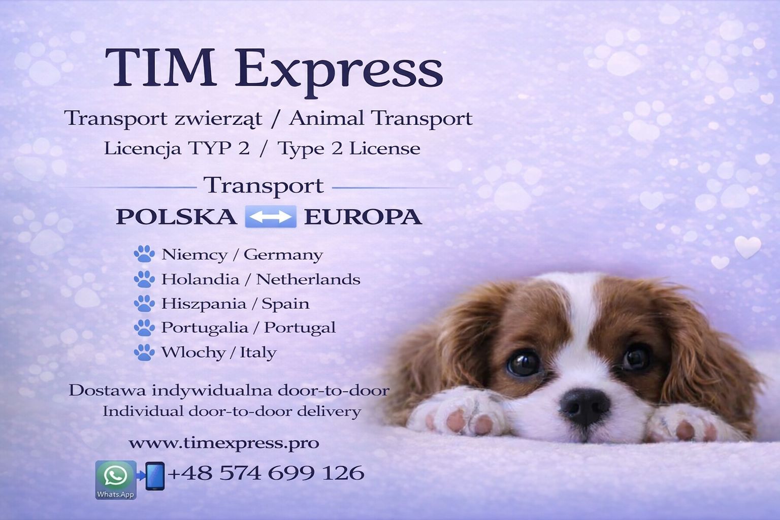 TIM Express - Transport for pets | Kraków