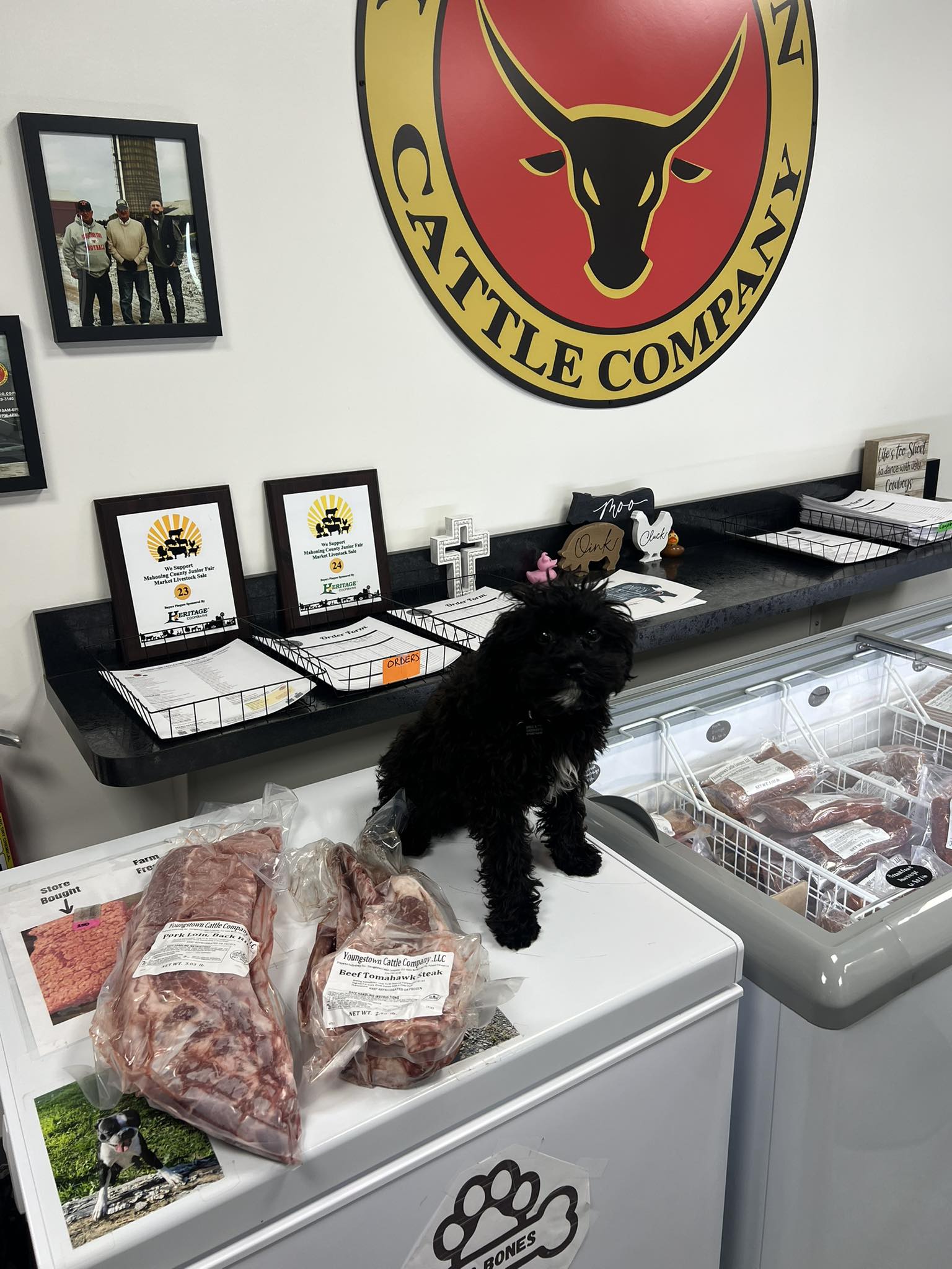 Youngstown - Stormi had to be the one to show off some of our BIG DAWG ...