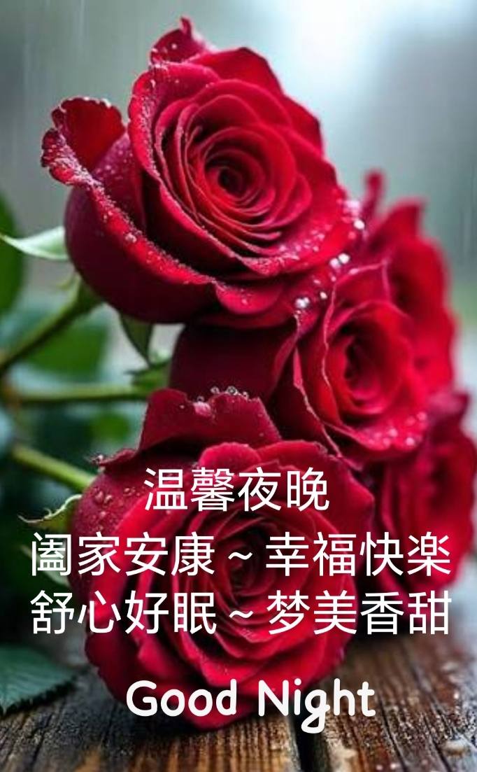 晚安～舒心愉悦🌹🌹 | Facebook