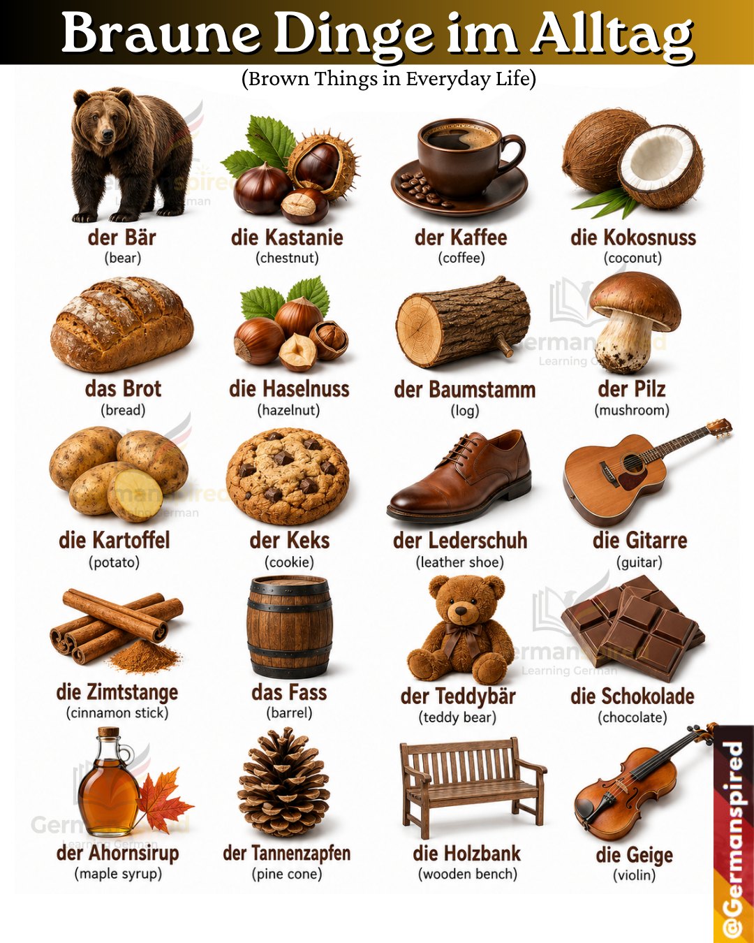 Braune Dinge im Alltag (Brown Things in Everyday Life) 📘 Kurze Erklärung Diese Wörter helfen dir, Farben mit deutschen Nomen zu lernen. Wenn braun vor einem Nomen steht, bekommt es eine Endung