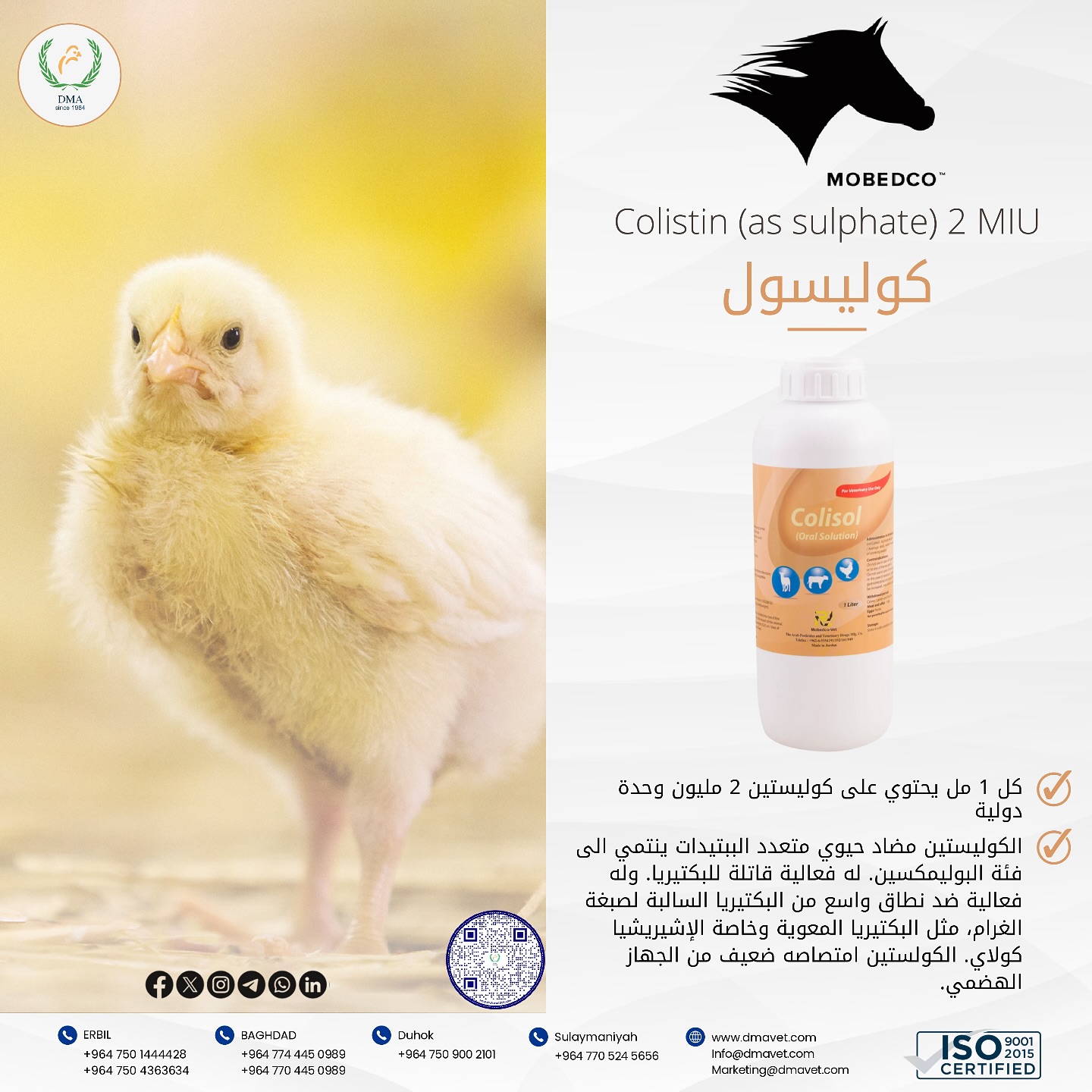 DMA Group | Irbil