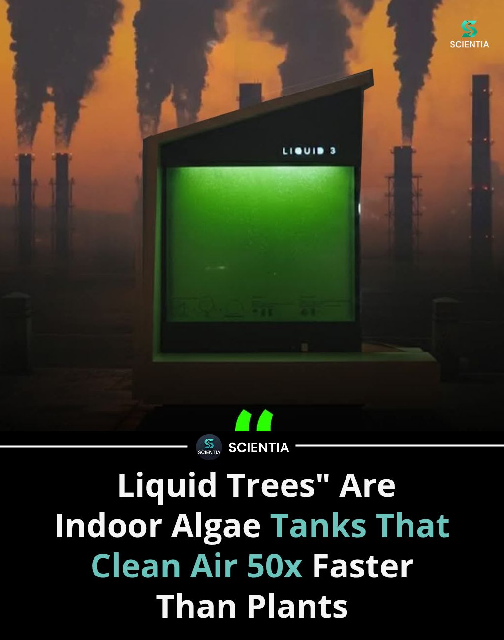 Germany's algae bioreactors clean urban air and produce biodiesel