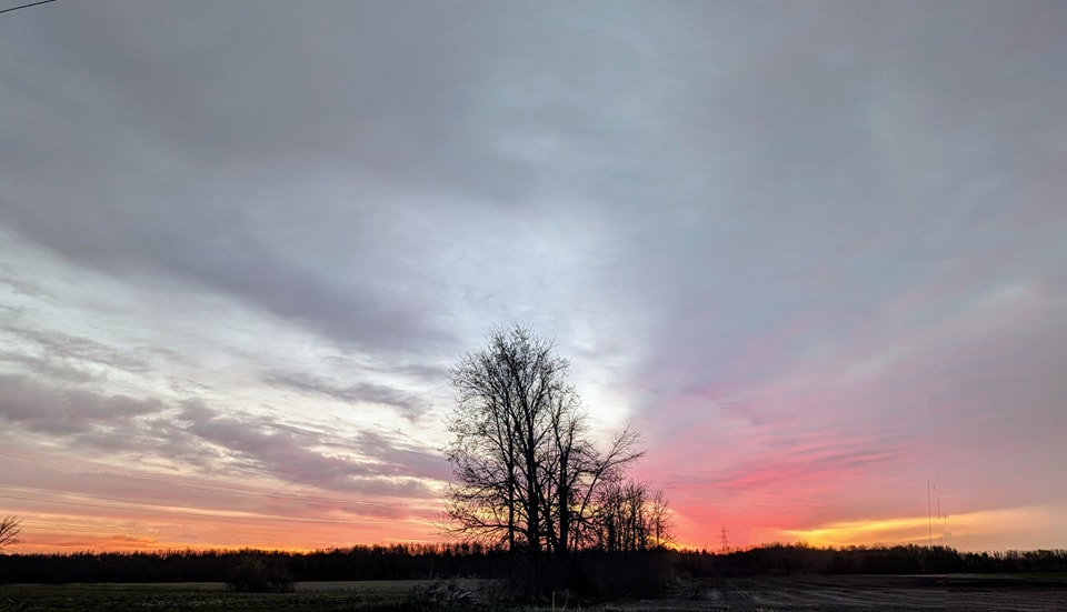 Seven Acres Family Farm | Ingleside ON