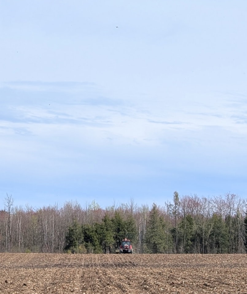Seven Acres Family Farm | Ingleside ON