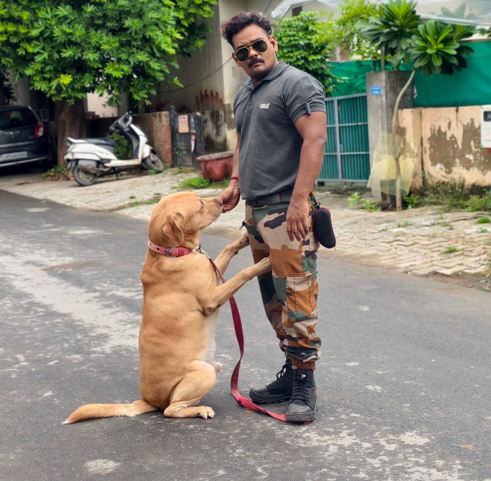 Other Rottweiler vs Mr Max Training 😘 #Rottweiler #dogtraining #explore ...
