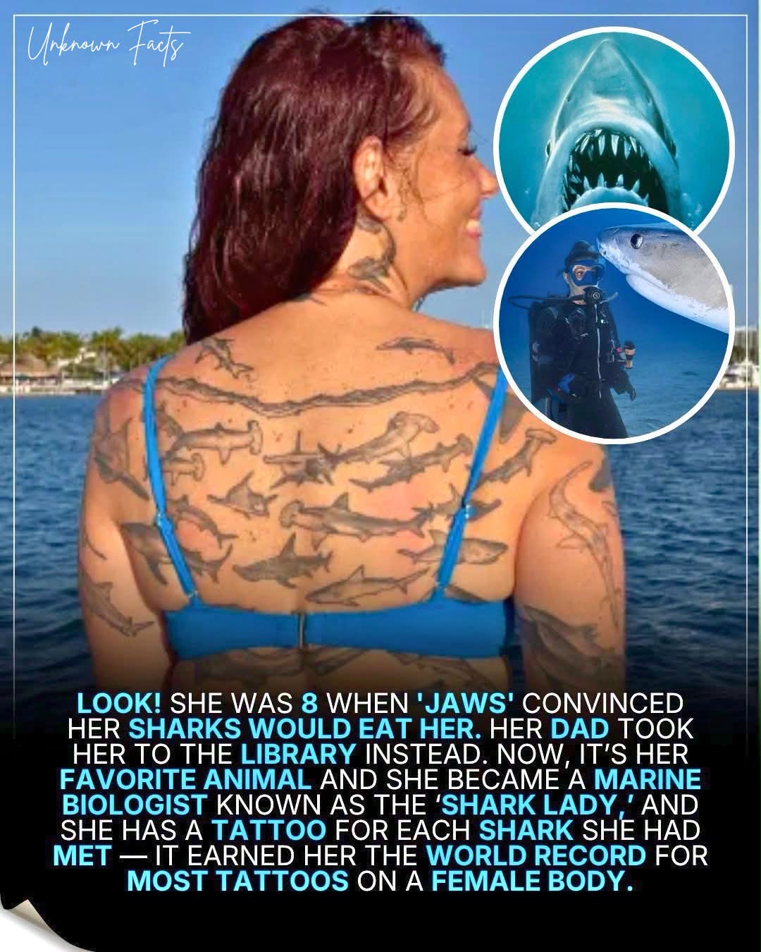 Shark Biologist Emily Morrison Holds A Guinness Record For Most