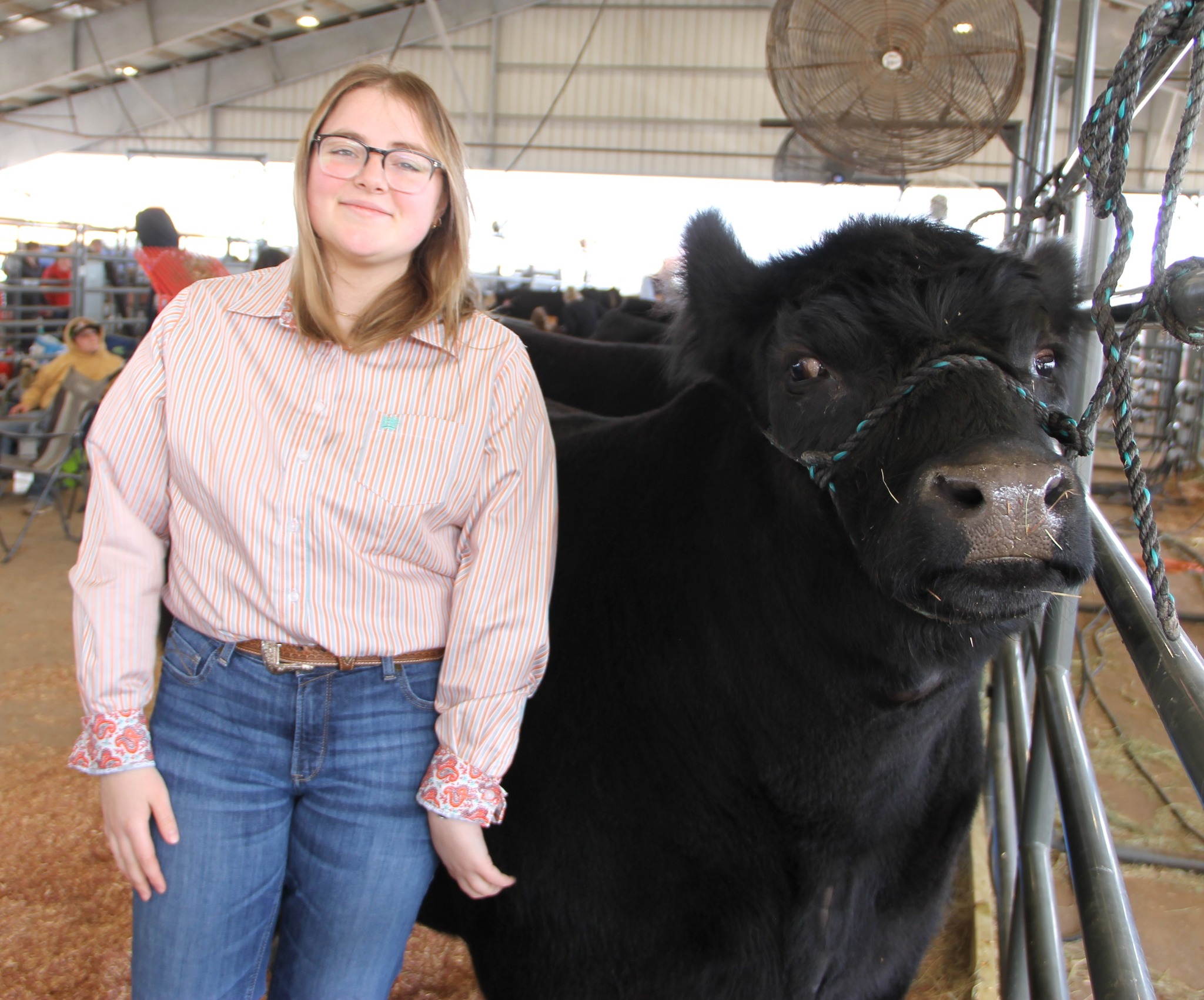 Yukon - Yukon’s Brooklyn Beams prepares her 1,315-pound Angus steer ...