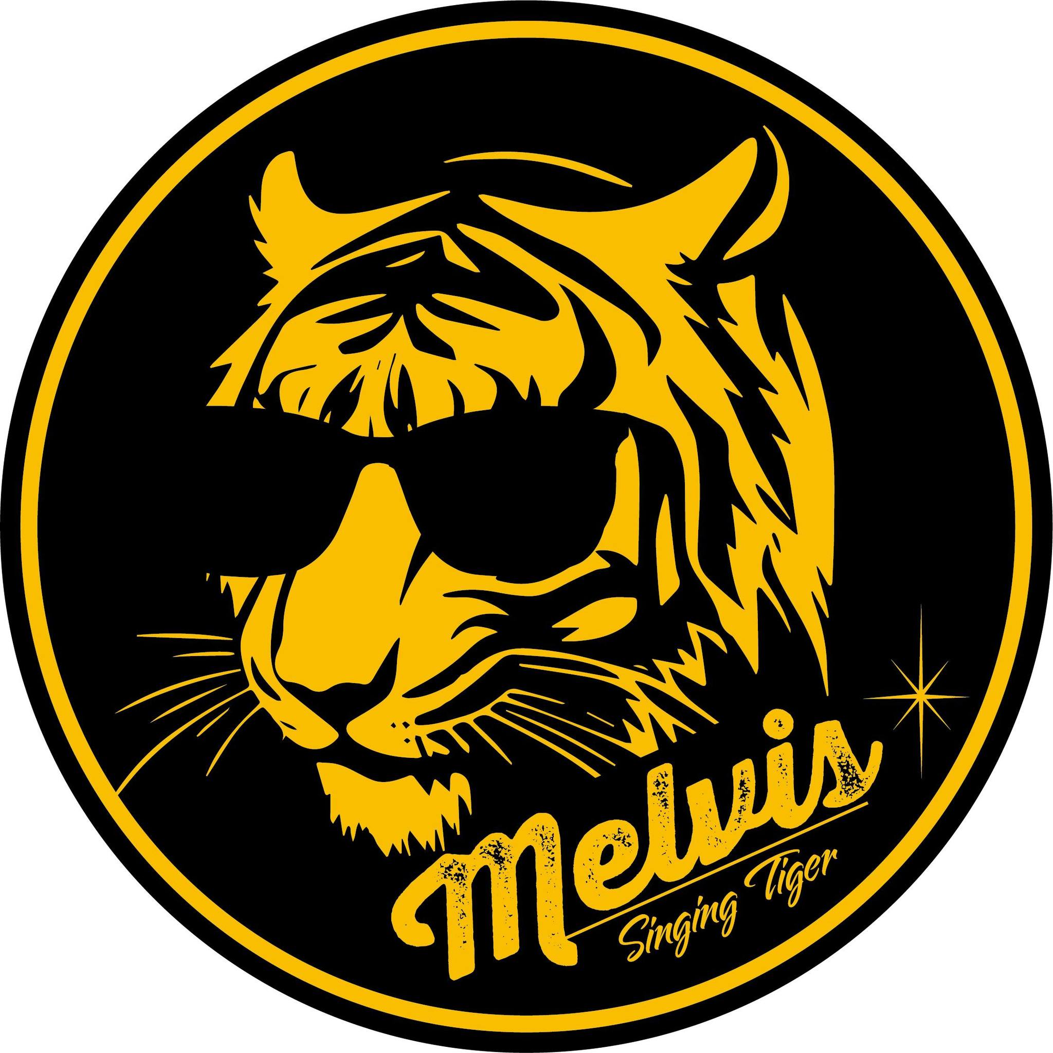 Melvis - 次回ライブ予定 シンプルにElvis主体の歌と喋りとパフォーマンス 9/14(日) 武蔵小山商店街 お買い物と呑みついでに ...