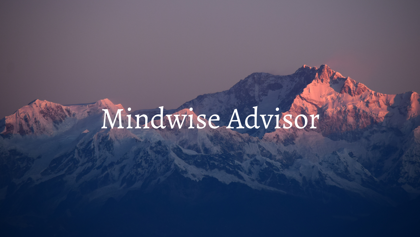Mindwise Advisor | New York NY