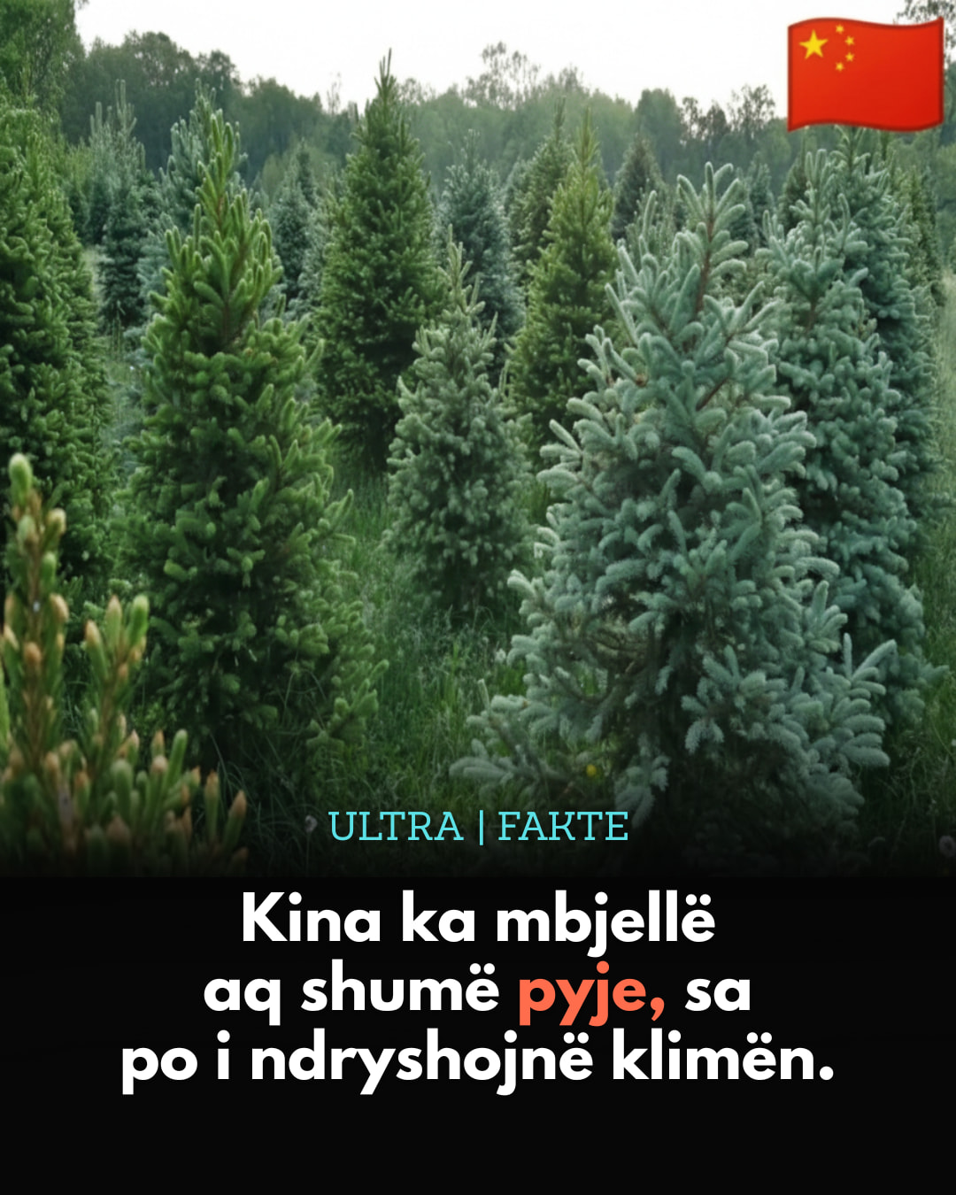 Ultra Fakte - Fushata masive e ripyllëzimit të Kinës ka... | Facebook