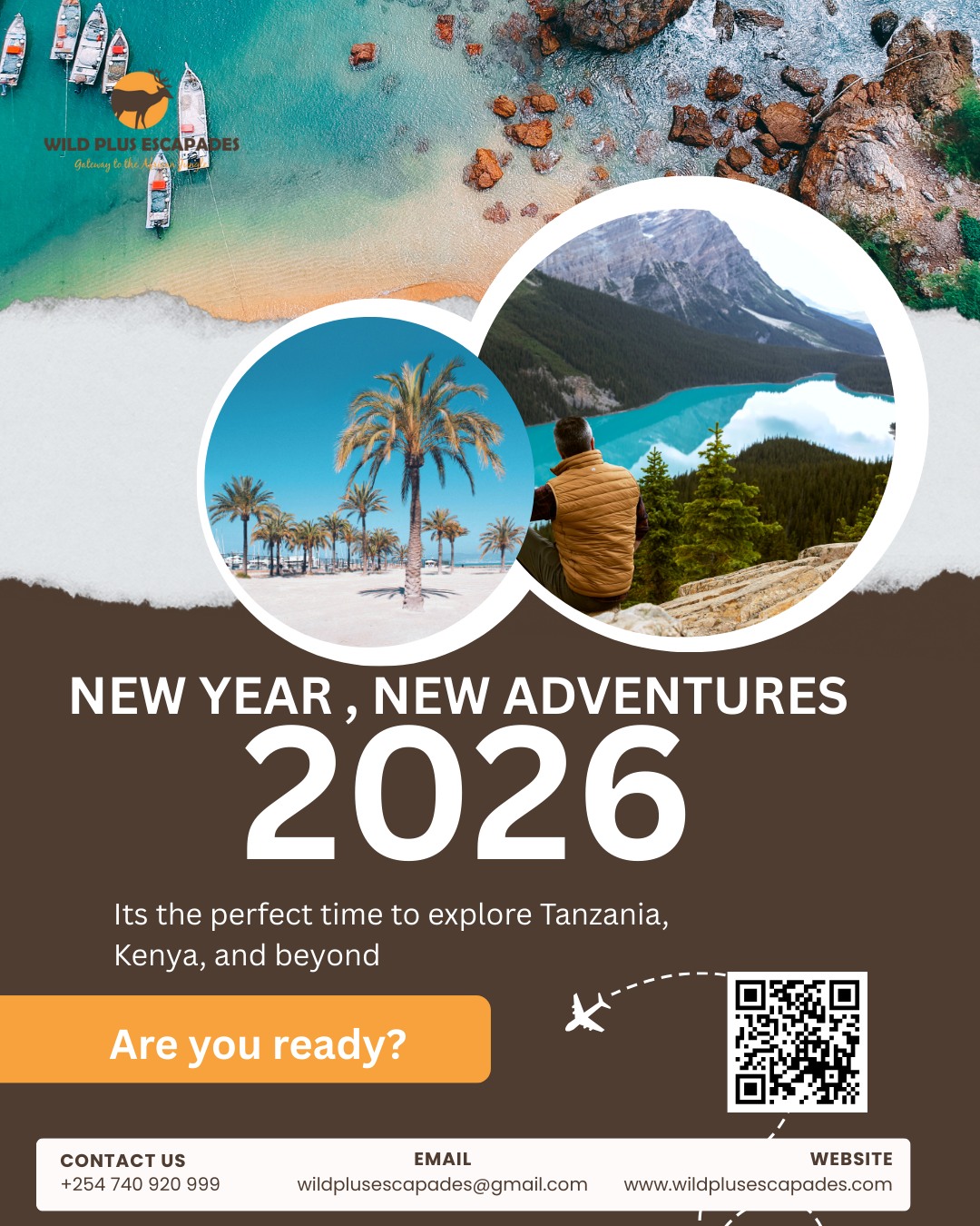Wild - 🌟🦁 New Year, New Adventures – Book Your 2026 Safari Today! 🌍 ...