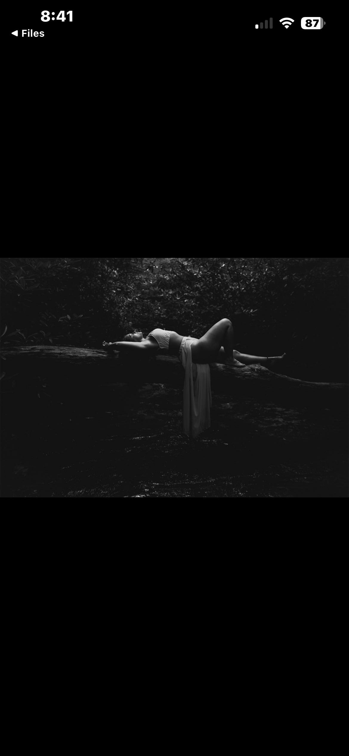 Whitney Taylor