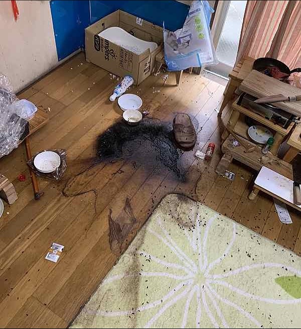 A body hidden in a Tokyo apartment raises terrifying questions