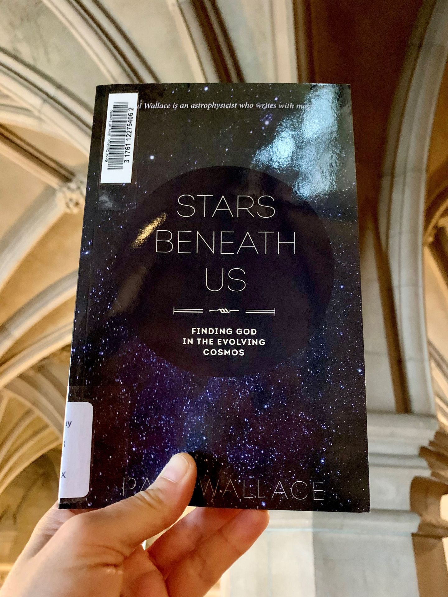 Knox - New to our collection at Caven Library: Stars Beneath Us ...