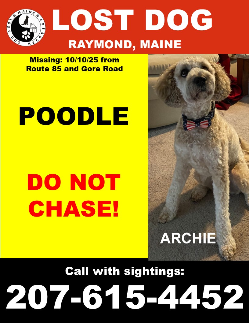Maine - 10.10.25 ARCHIE IS HOME!! 10.10.25 MISSING FROM RAYMOND, MAINE ...