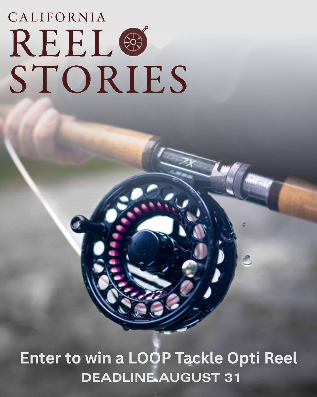 shimano 2021 reels Color:Candy green segment_skateboarding EARLY OLD SCHOOL – Spheros SW provides anglers