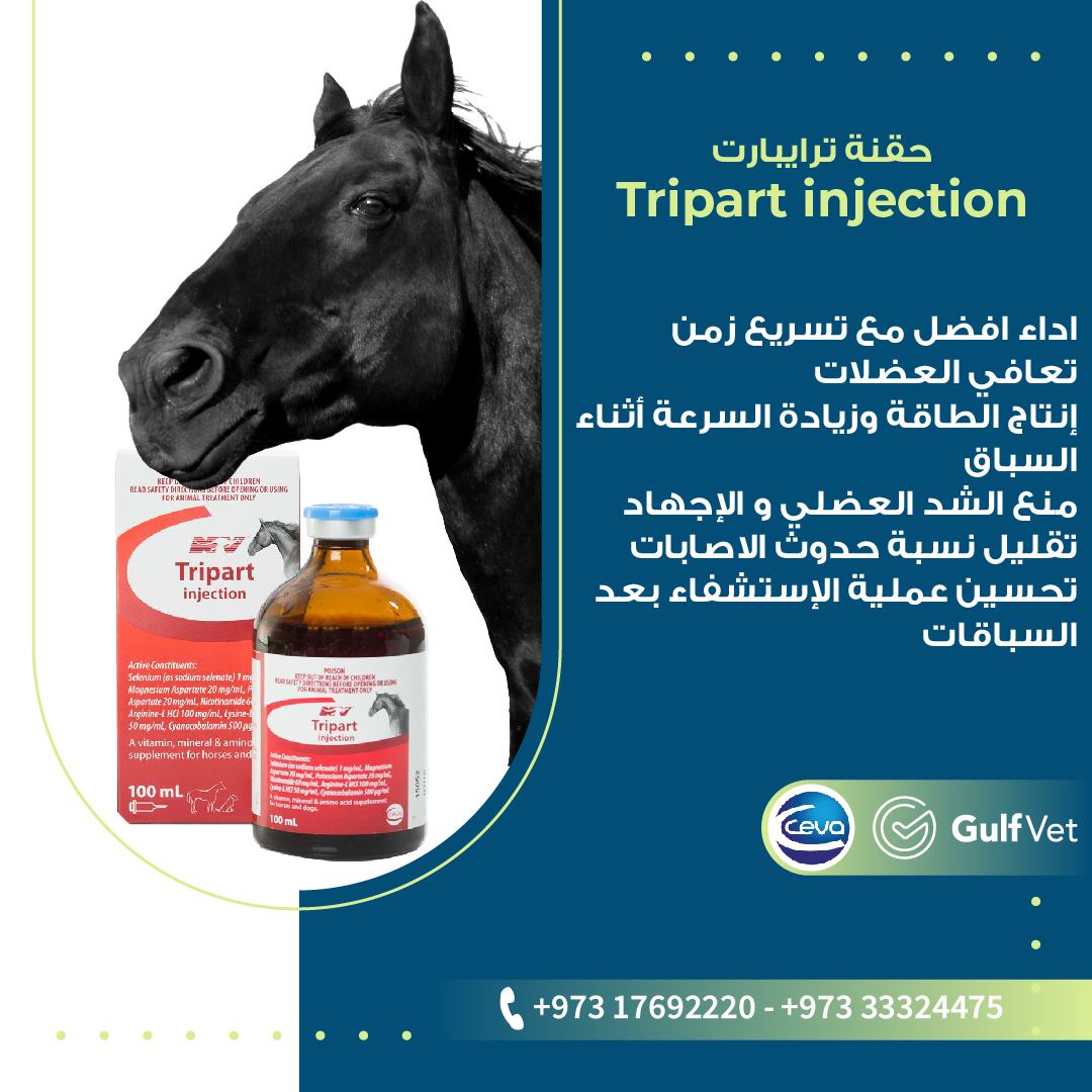 حقنة ترايبارت Tripart injection... - Gulf Veterinary Centre | Facebook