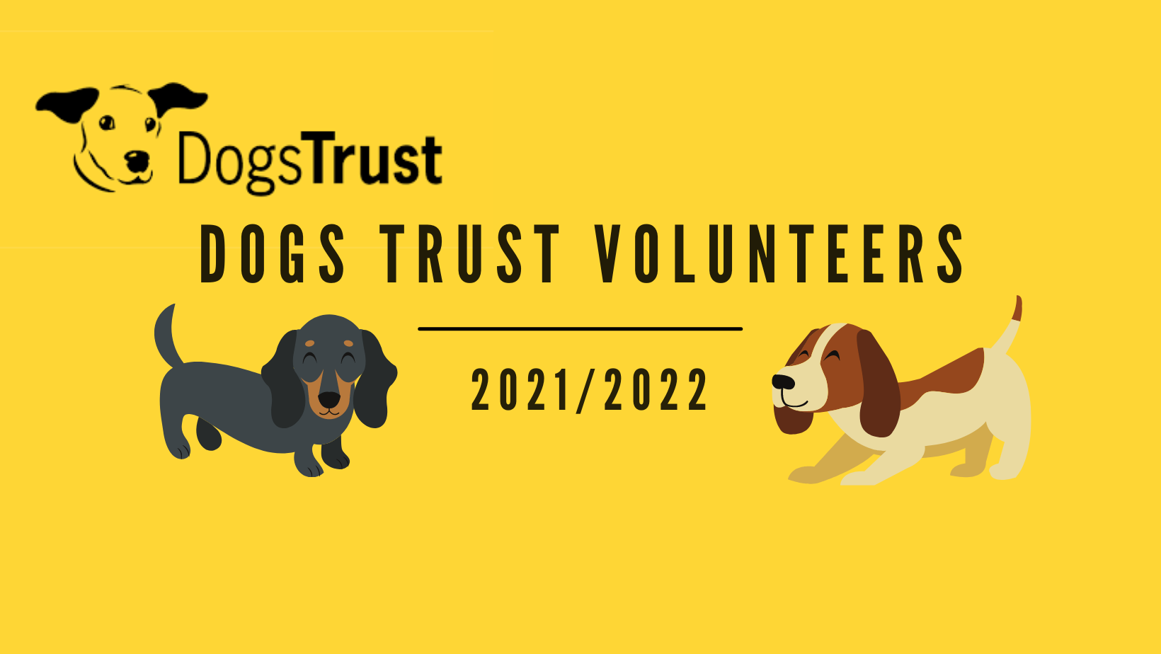Dog's Trust Volunteers 2021/2022 | Facebook