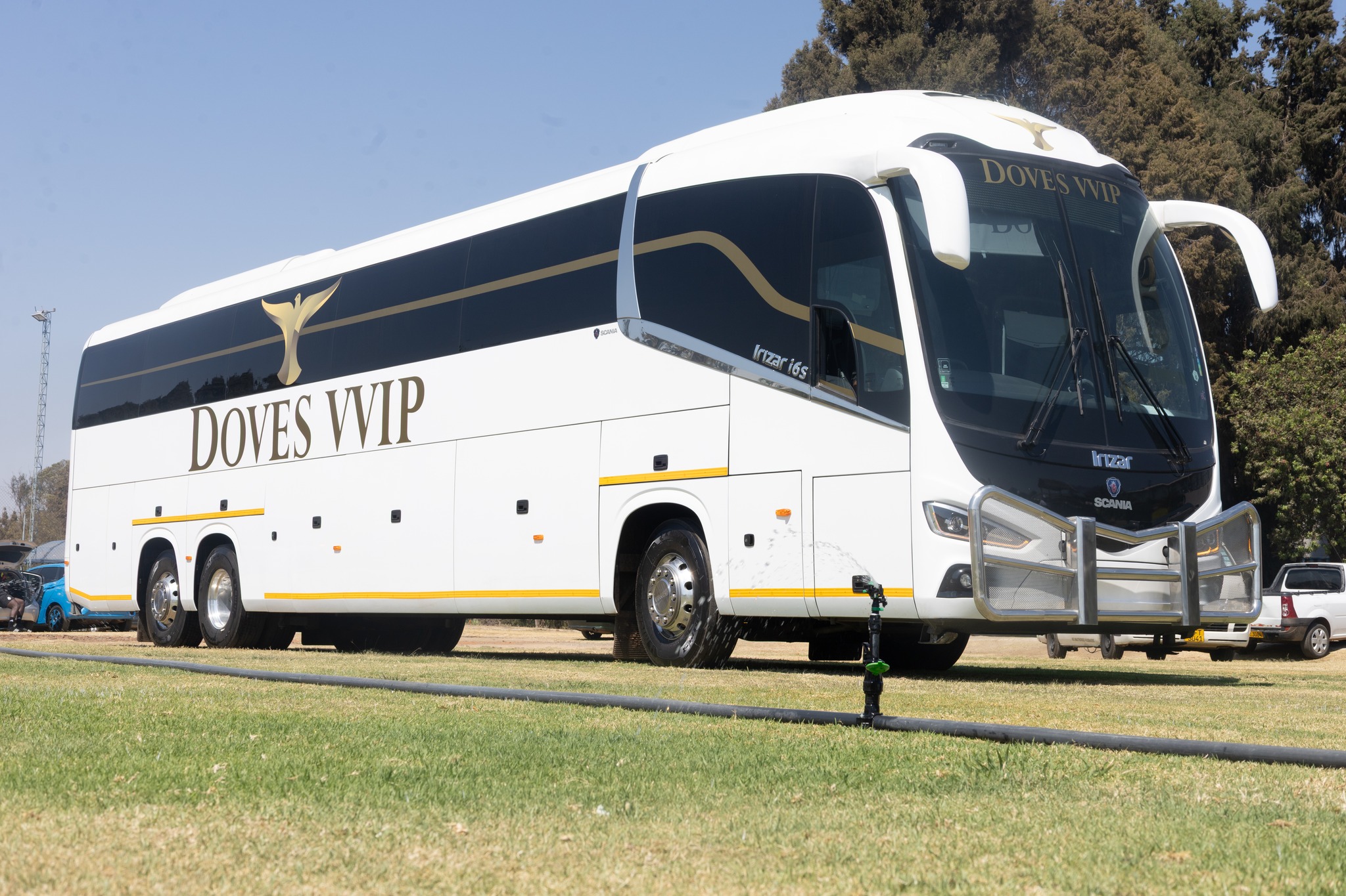 Doves Holdings - Exciting news! We have added Doves VVIP... | Facebook
