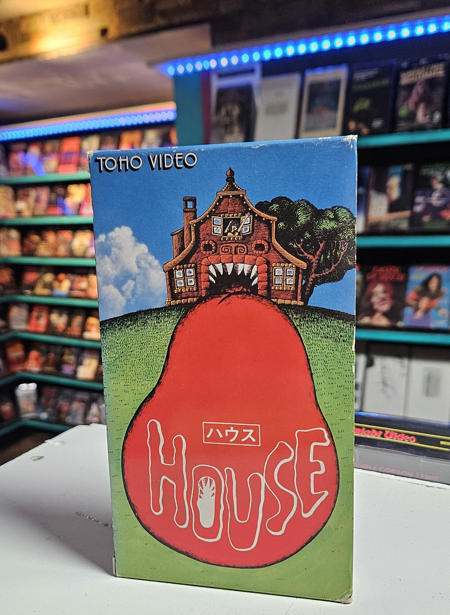 Some japanese VHS editions🧟‍♂️