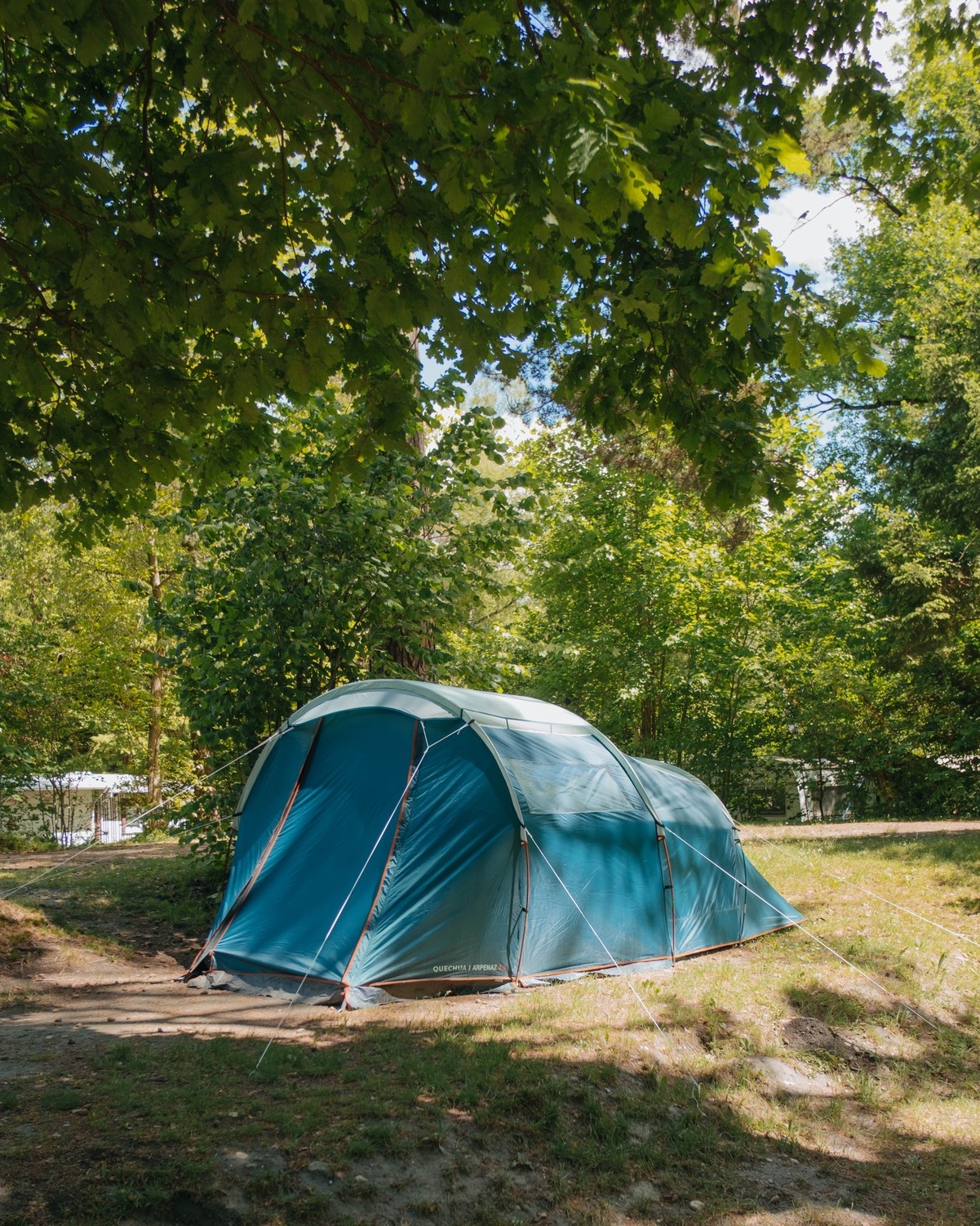 tipi tarp Madison – 4 Person Lightweight Backcountry Shelter 1995-peterbilt-375-esi1985218 this durable tarp comfortably Omas Eierstich im Airfryer Cage Color:Orange