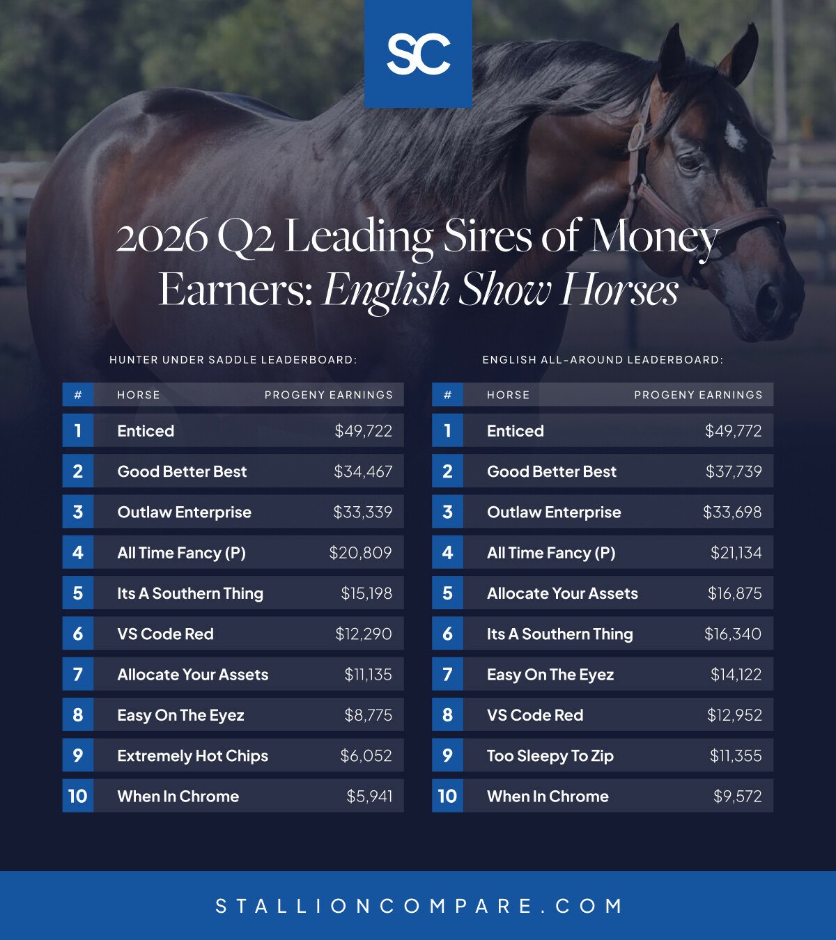 CHANNEL S 　MINI 📊 The Q2 2026 English Show Horse Stallion Leaderboards Are Here