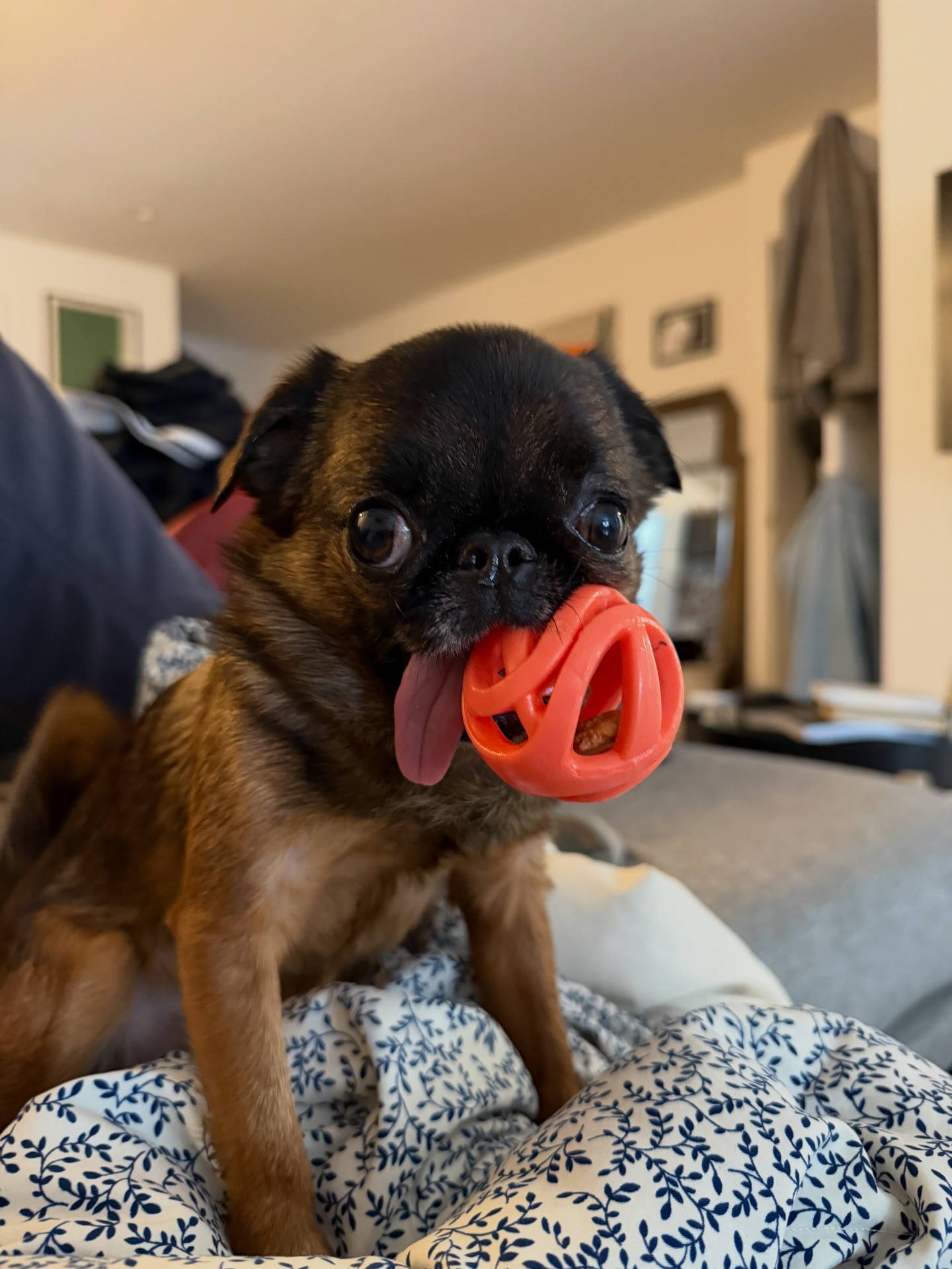 Edna the Runt - “This mouth ain’t big enough for the both... | Facebook