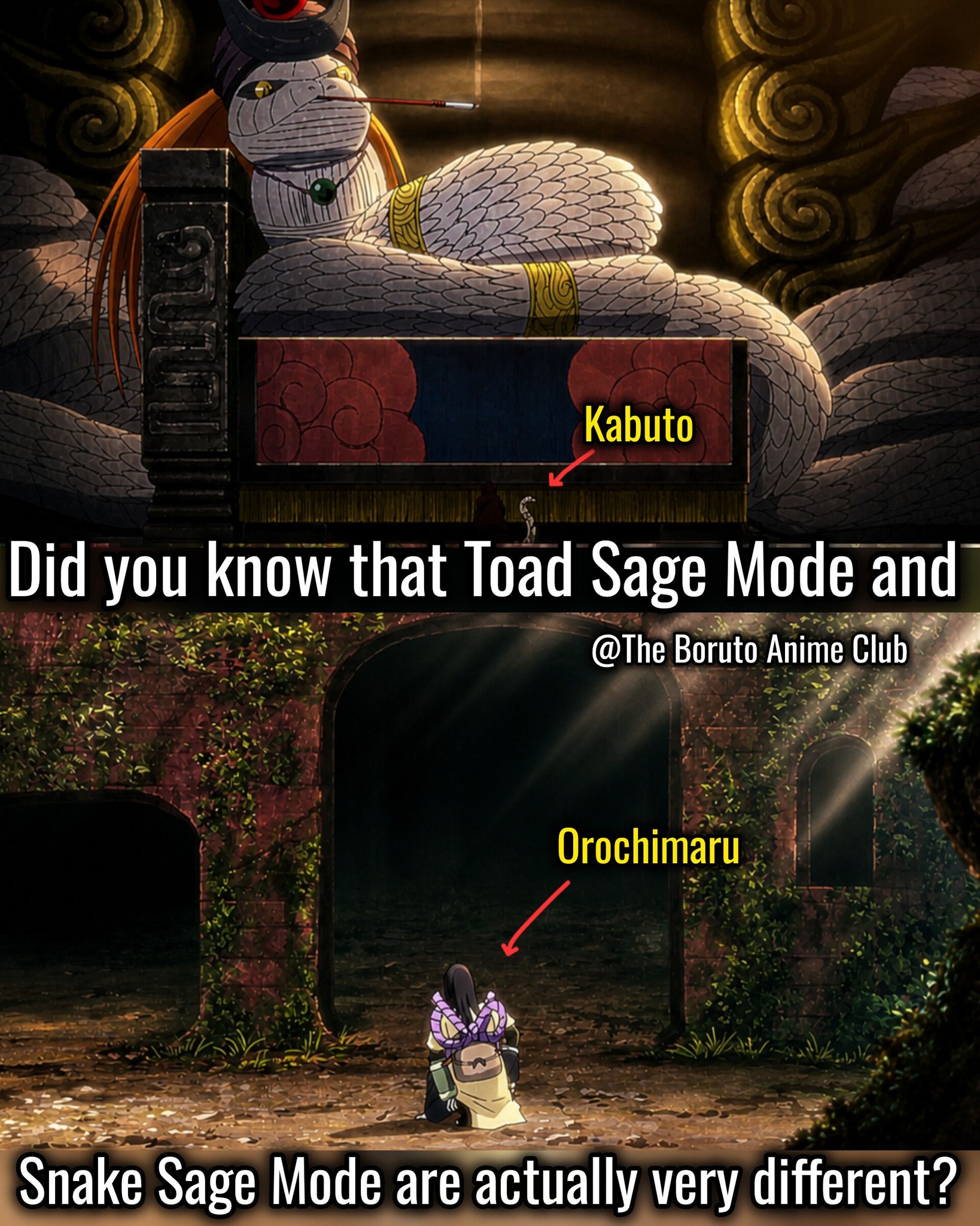 Kabuto's powerful sage mode and snake sage abilities