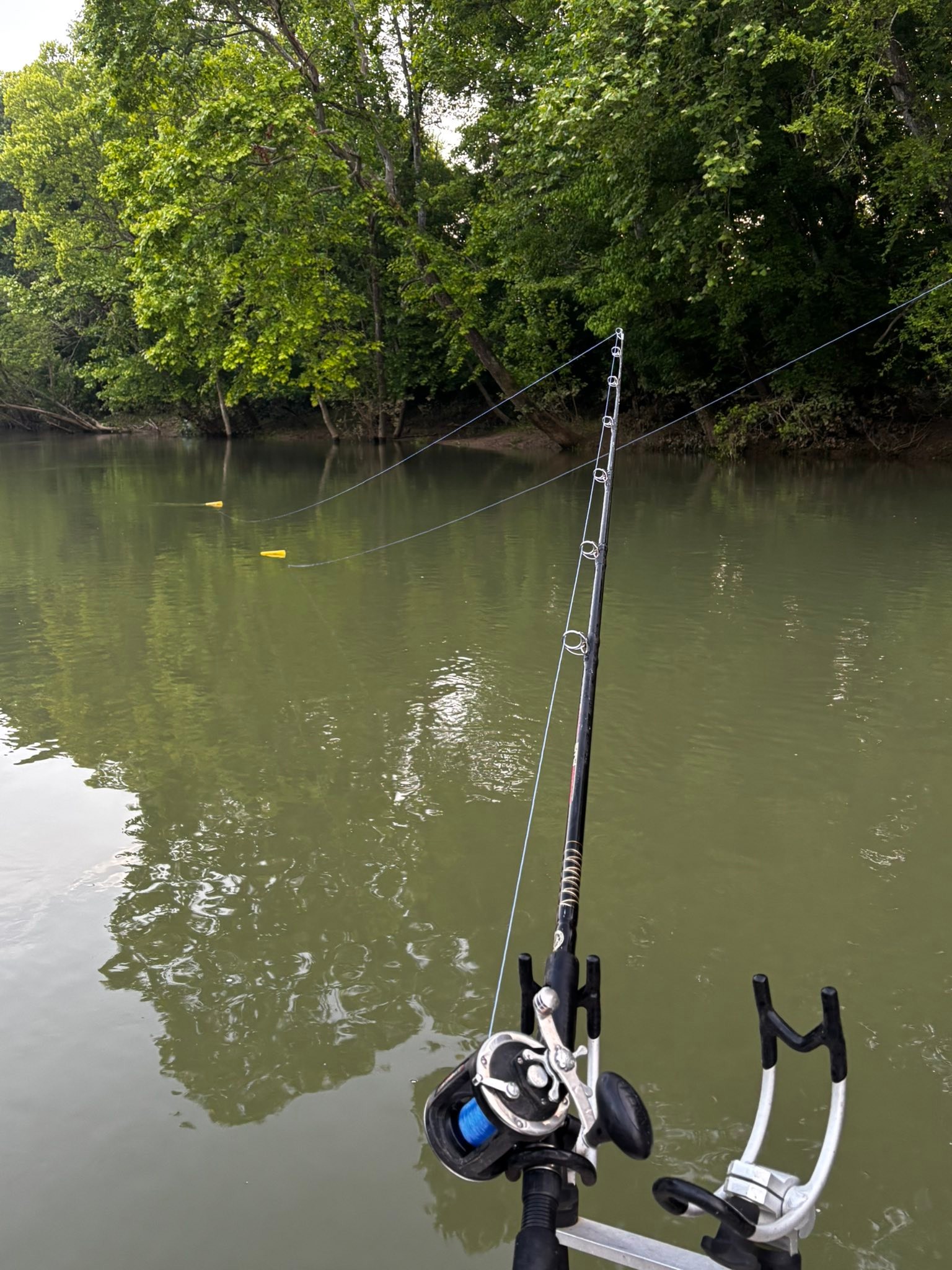 echo fly rods and reels red's fly shopred's fly shop Indicator 10ft 7wt Rod (7100-4) a top contender in Cadence CS8 Spinning Reel Color:moon night white marlin hook