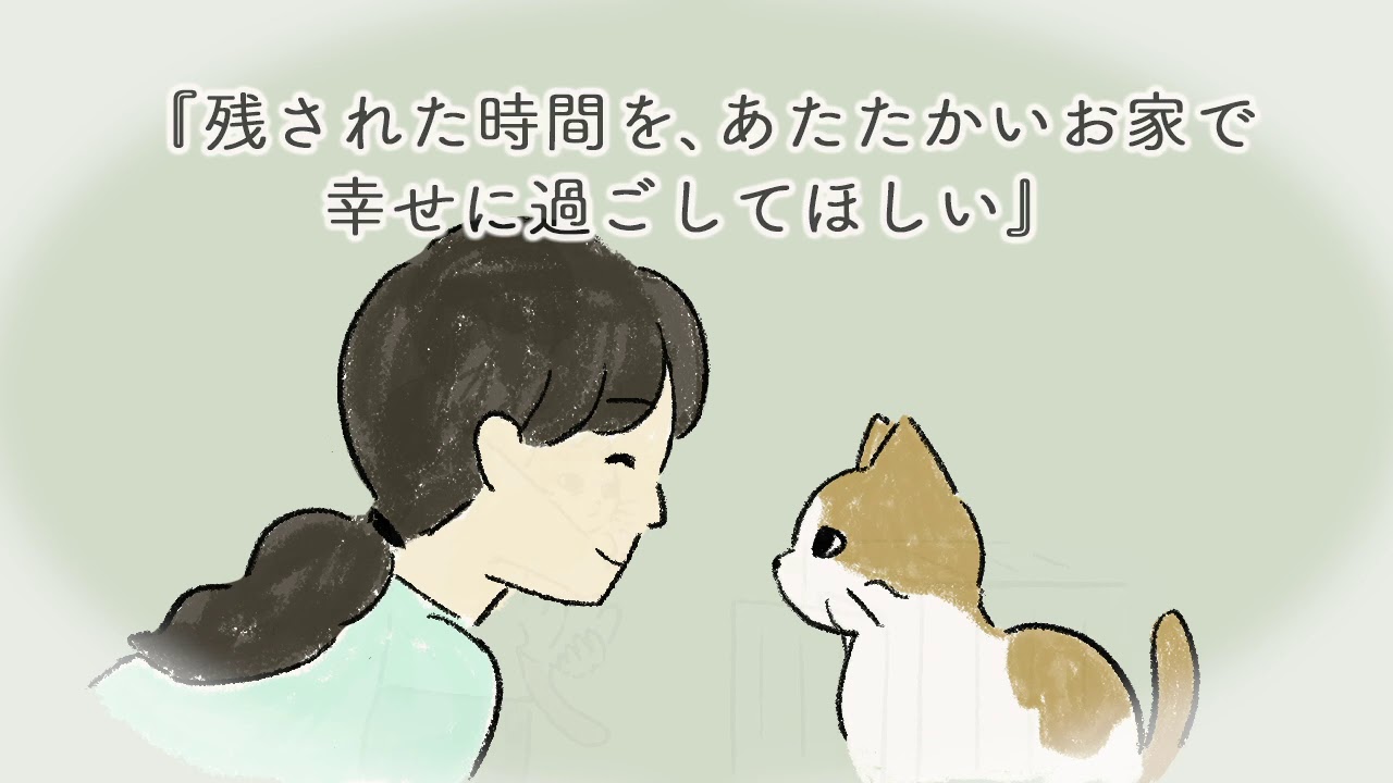PokémonSleep 』とコラボするよ? ＼​ エーザイは『Pokémon Sleep』と 
