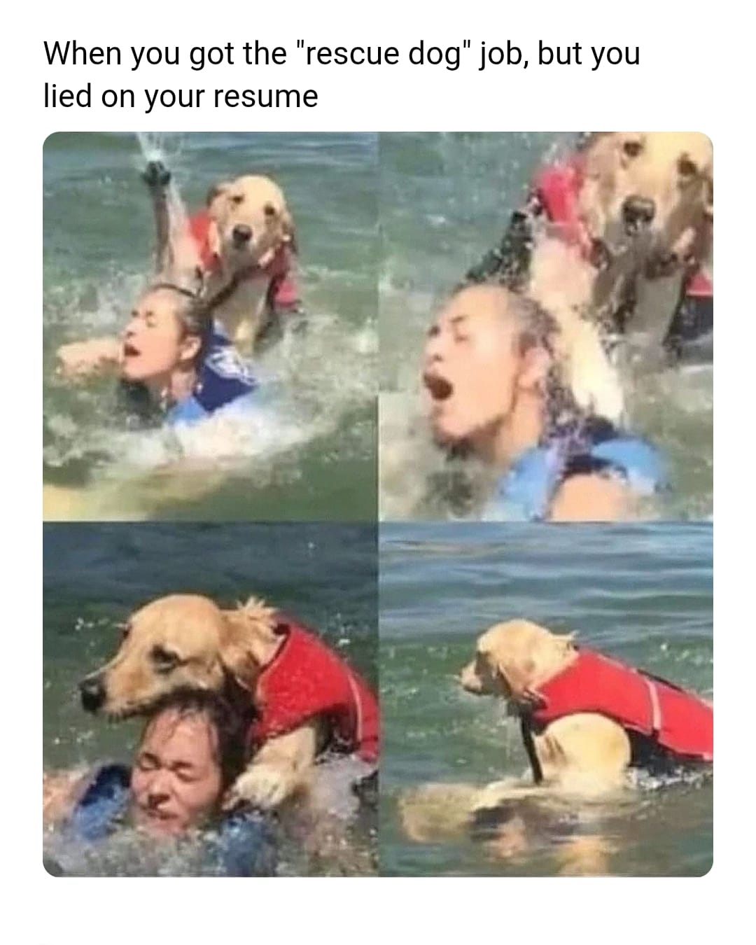Memes - failed rescue mission vibes | Facebook
