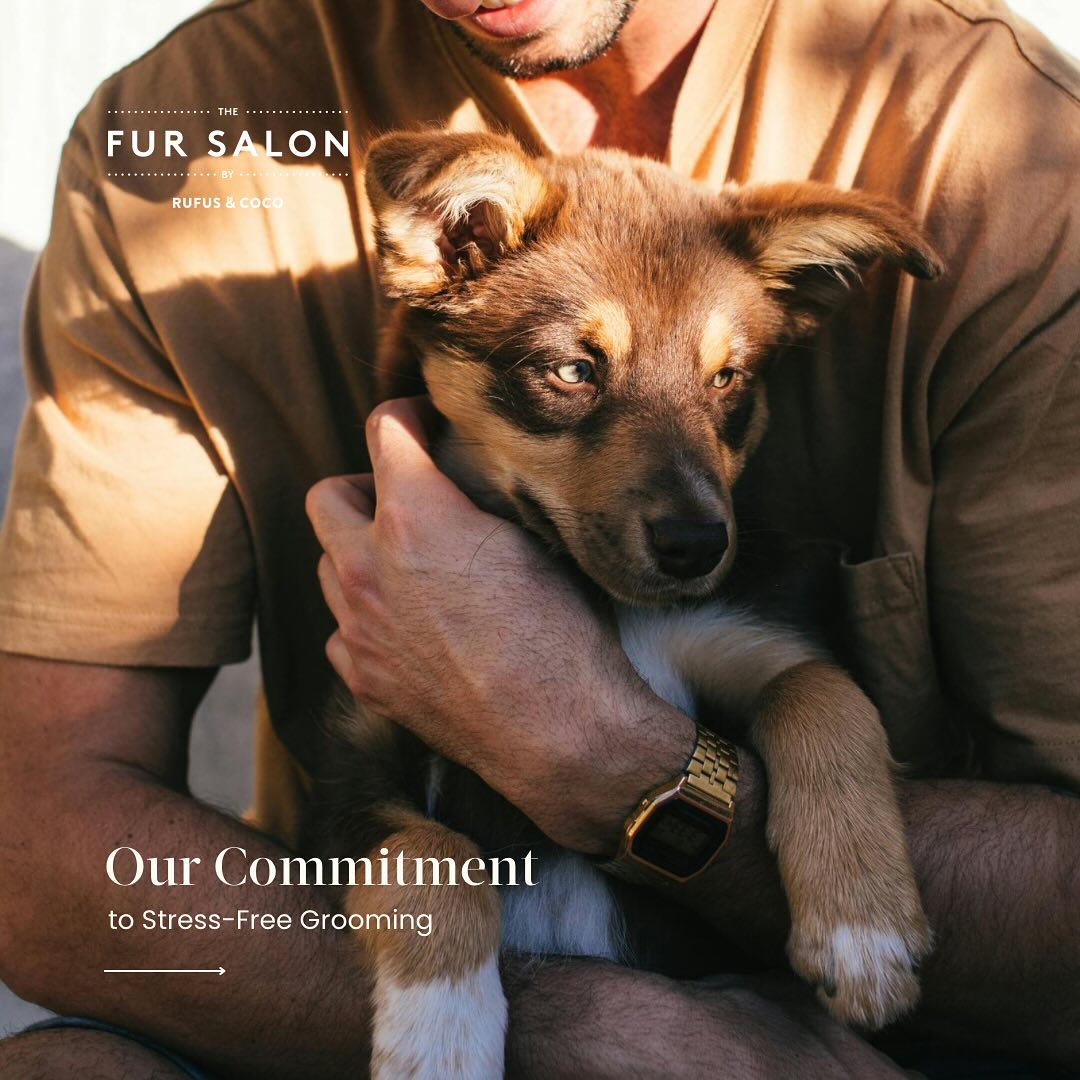 The Fur Salon by Rufus & Coco | Mosman NSW