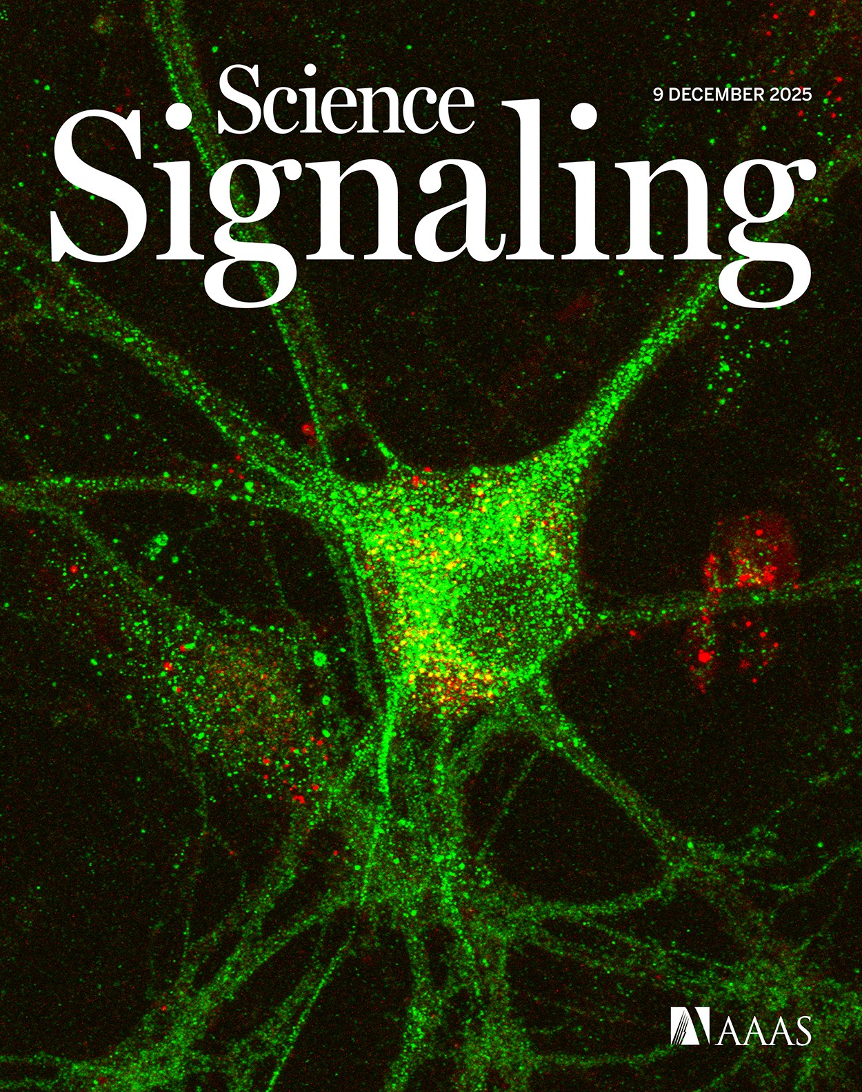 Science - A new study of LAIR-1–expressing macrophages could inform ...