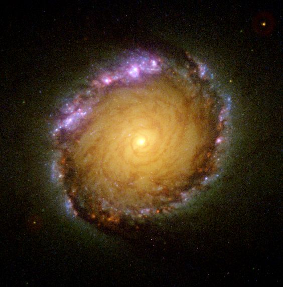 NASA Explore The Universe | Behold the unusual core of NGC 1512, a ...