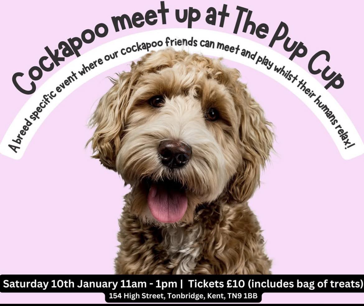 Shout out from The Pup Cup... - The Dog Advisor Kent | Facebook
